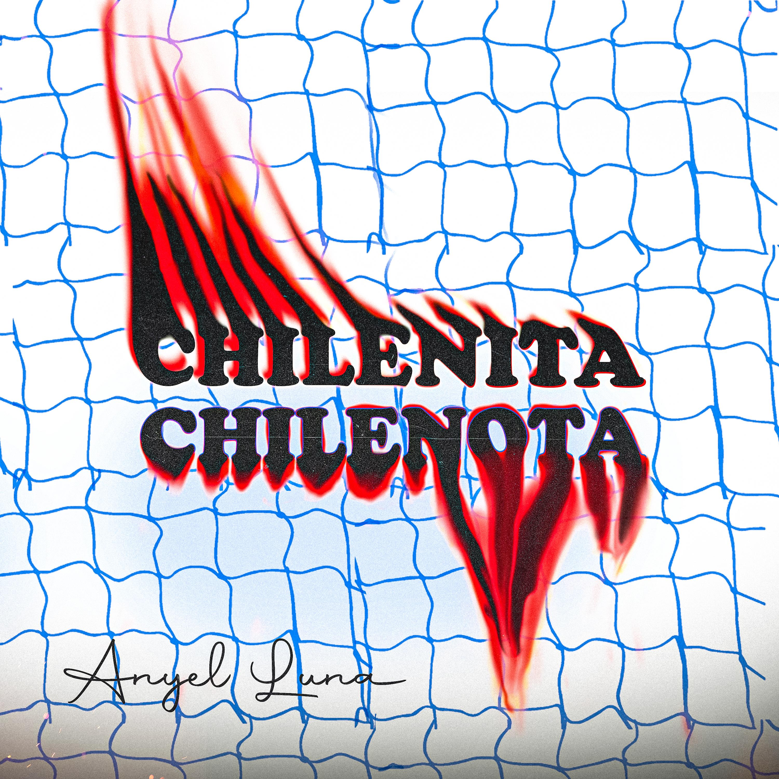 Постер альбома Chilenita Chilenota