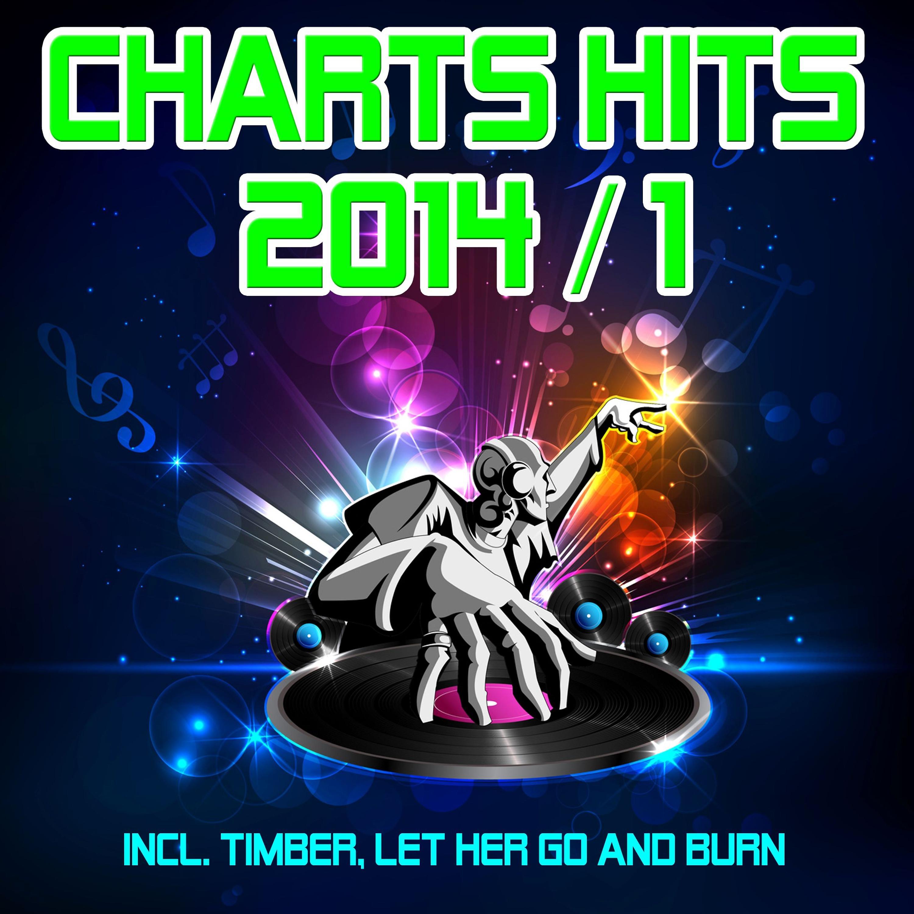 Постер альбома Charts Hits 2014 / 1 (Incl. Timber, Let Her Go and Burn)