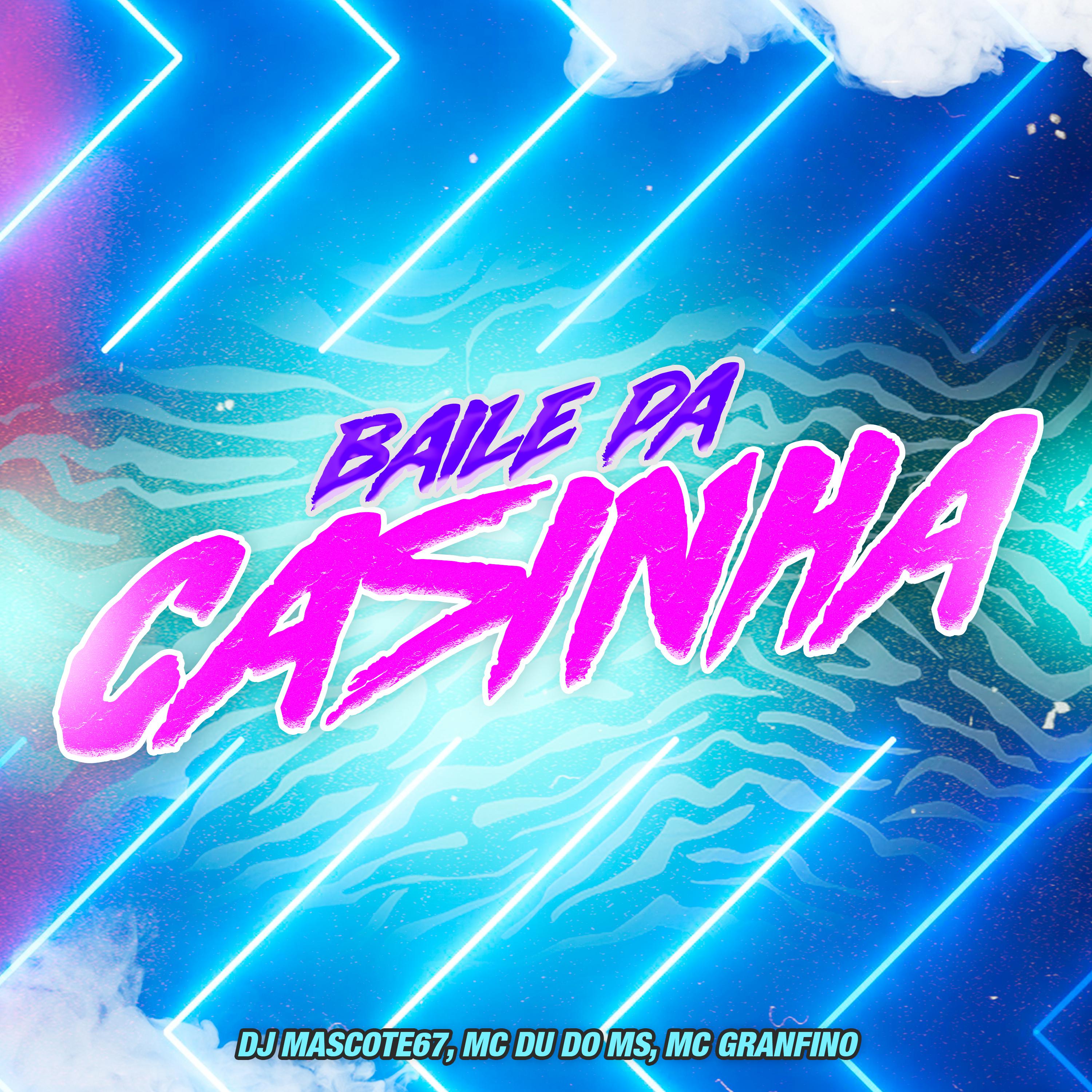 Постер альбома Baile da Casinha