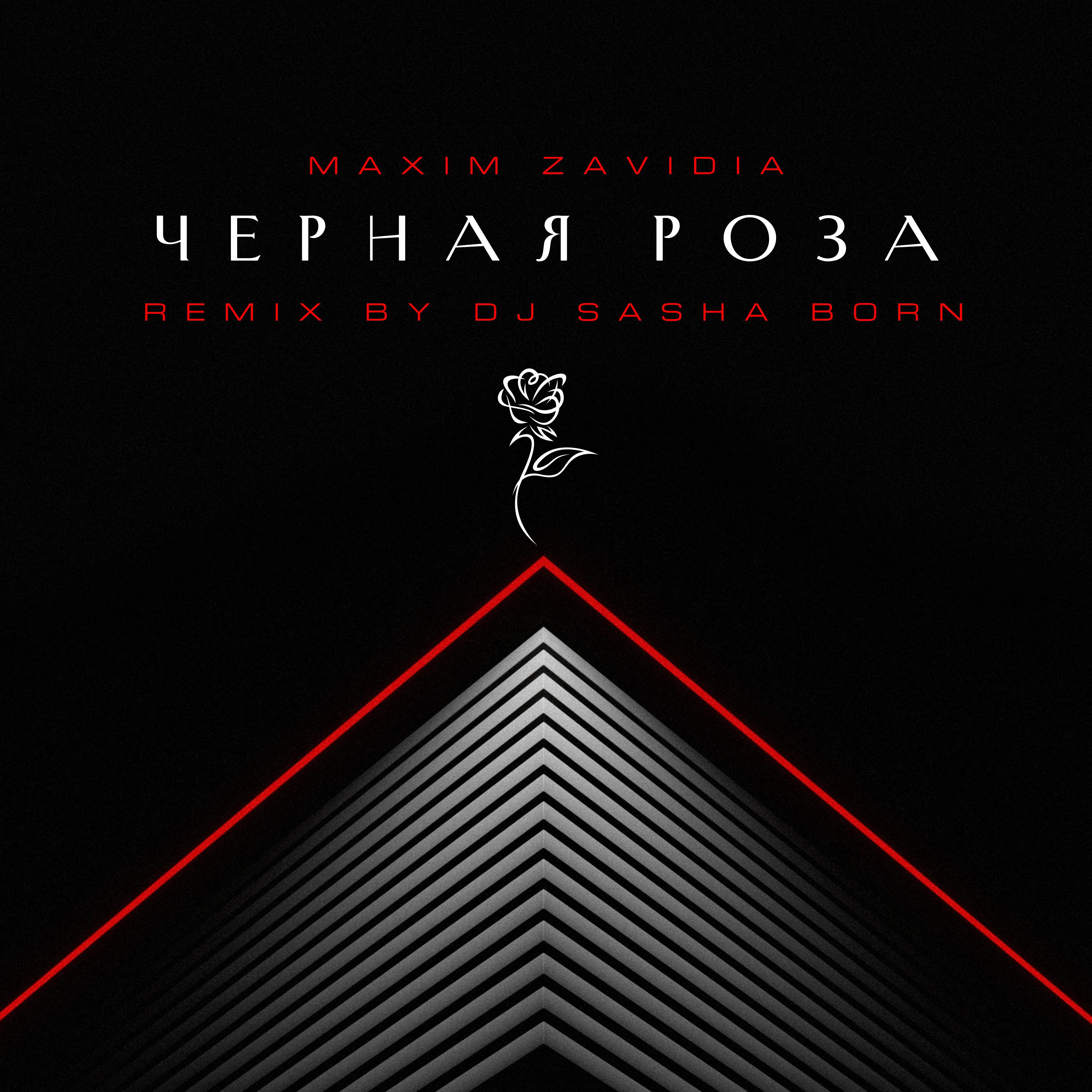 Постер альбома Чёрная роза (Dj Sasha Born Remix)