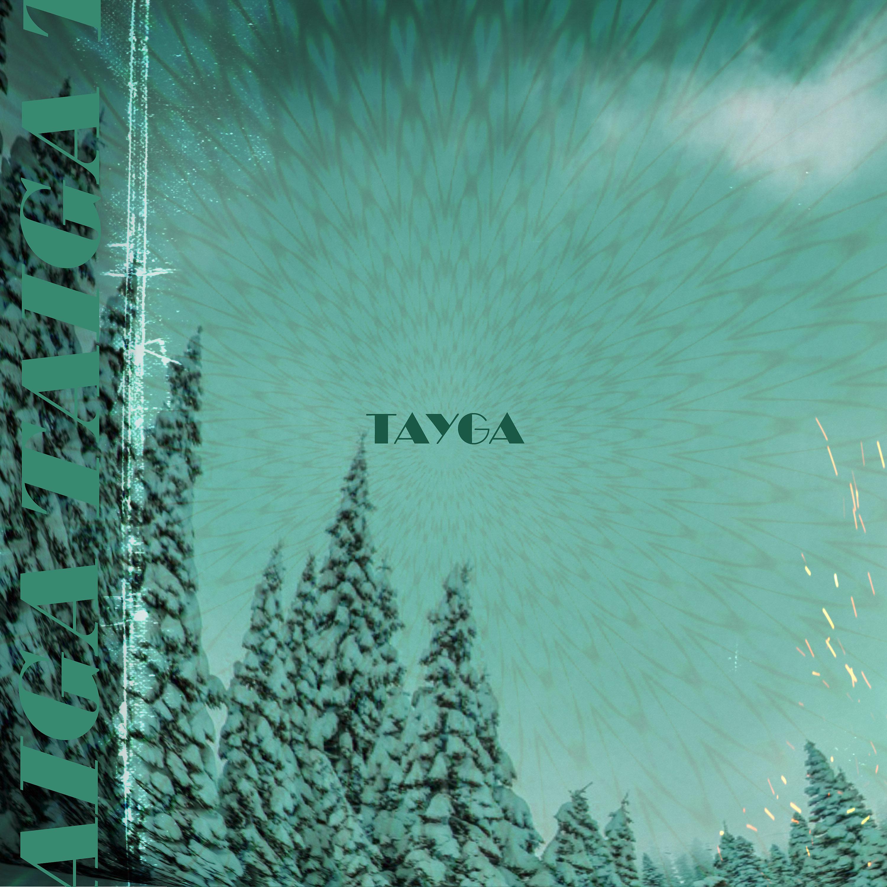 Постер альбома Tayga