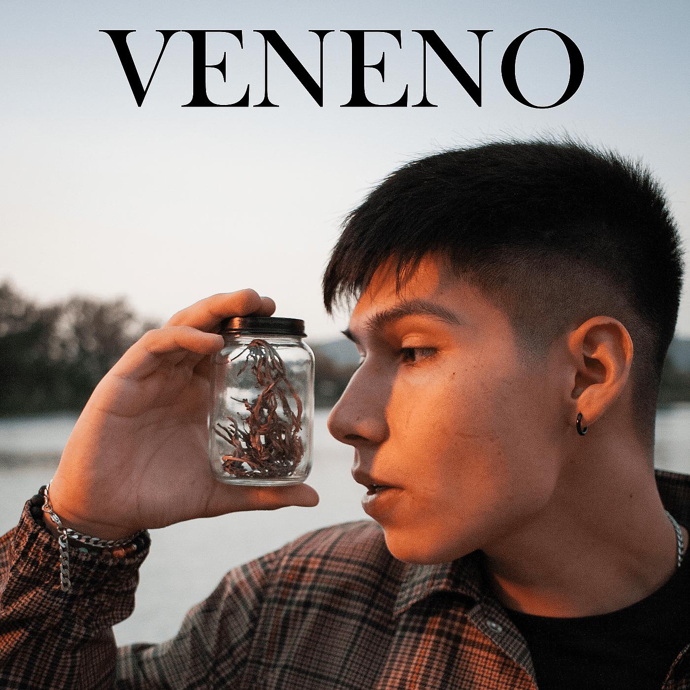 Постер альбома Veneno