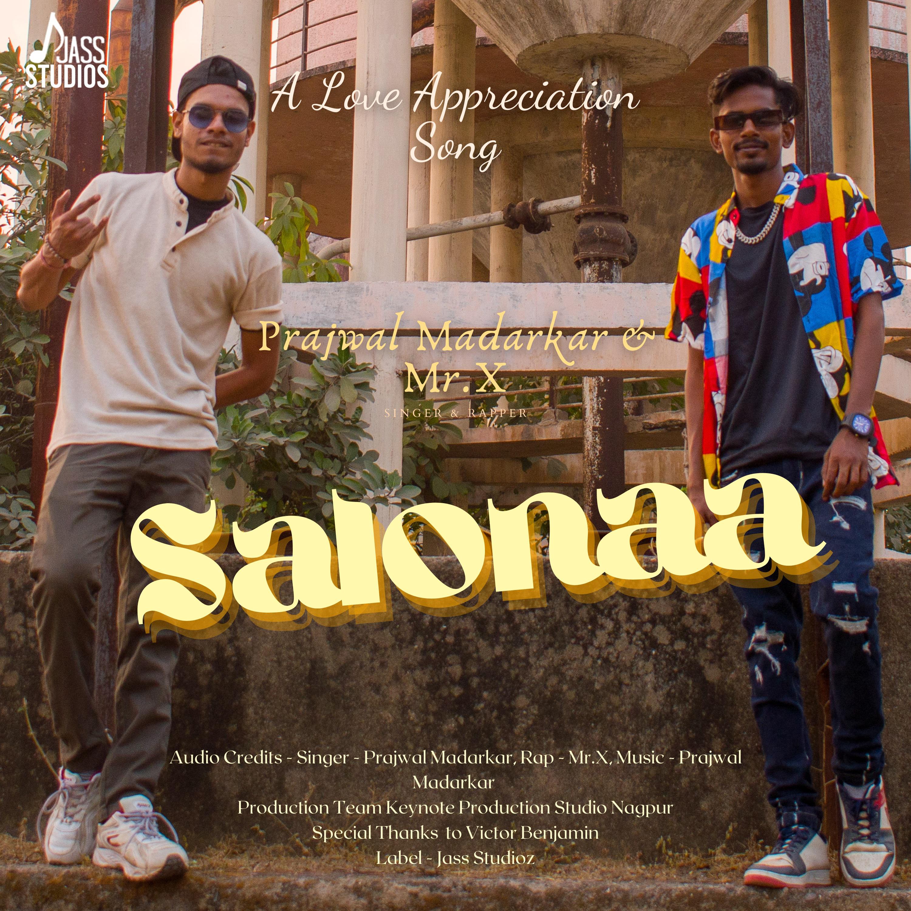Постер альбома Salonaa