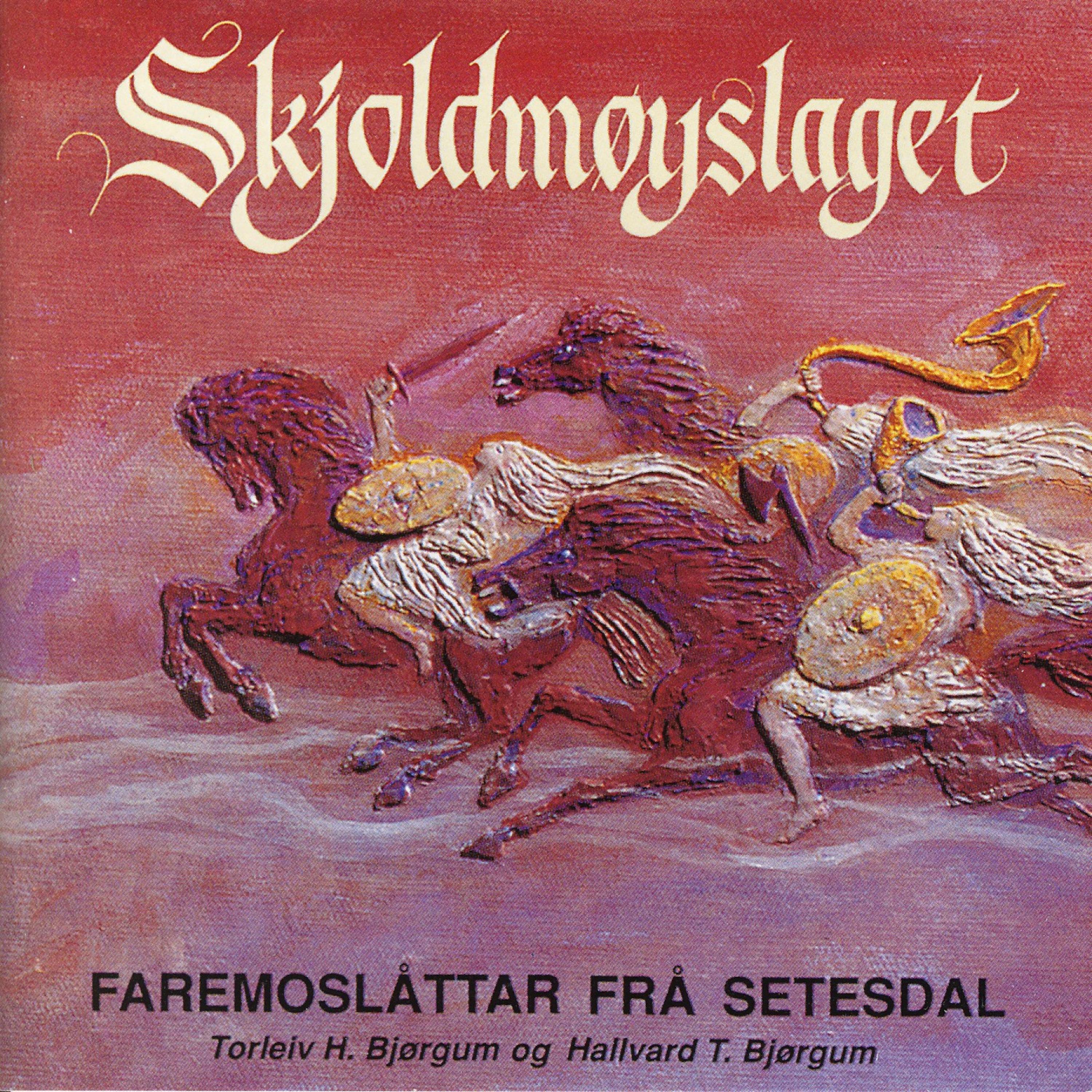 Постер альбома Skjoldmøyslaget