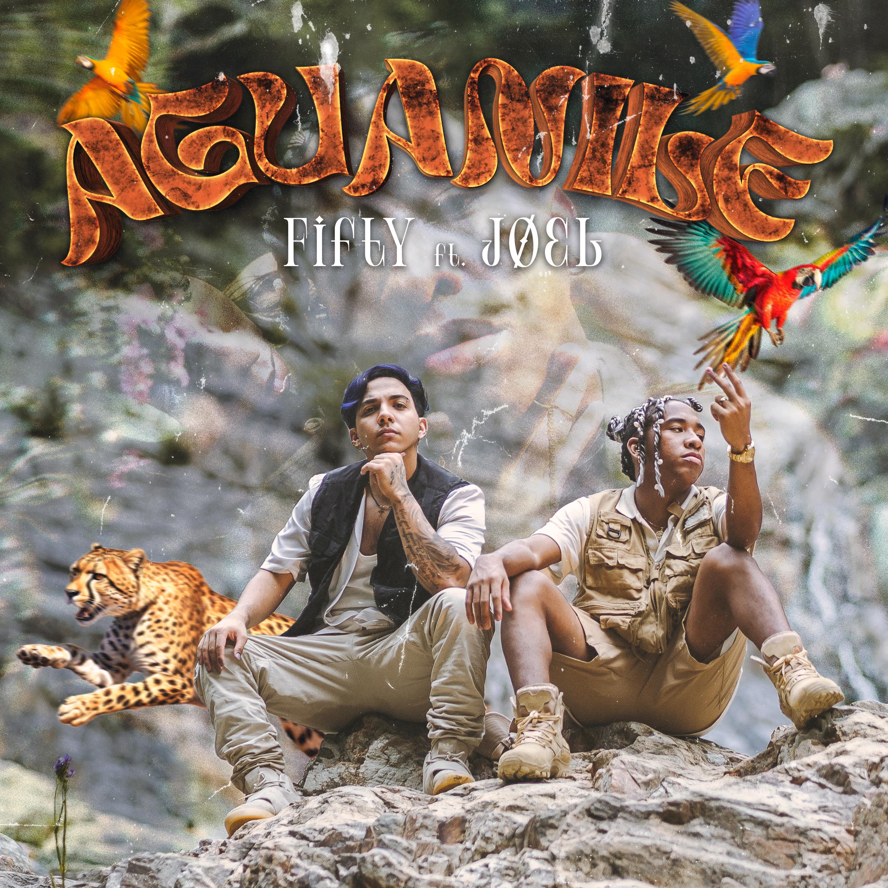 Постер альбома Aguanile