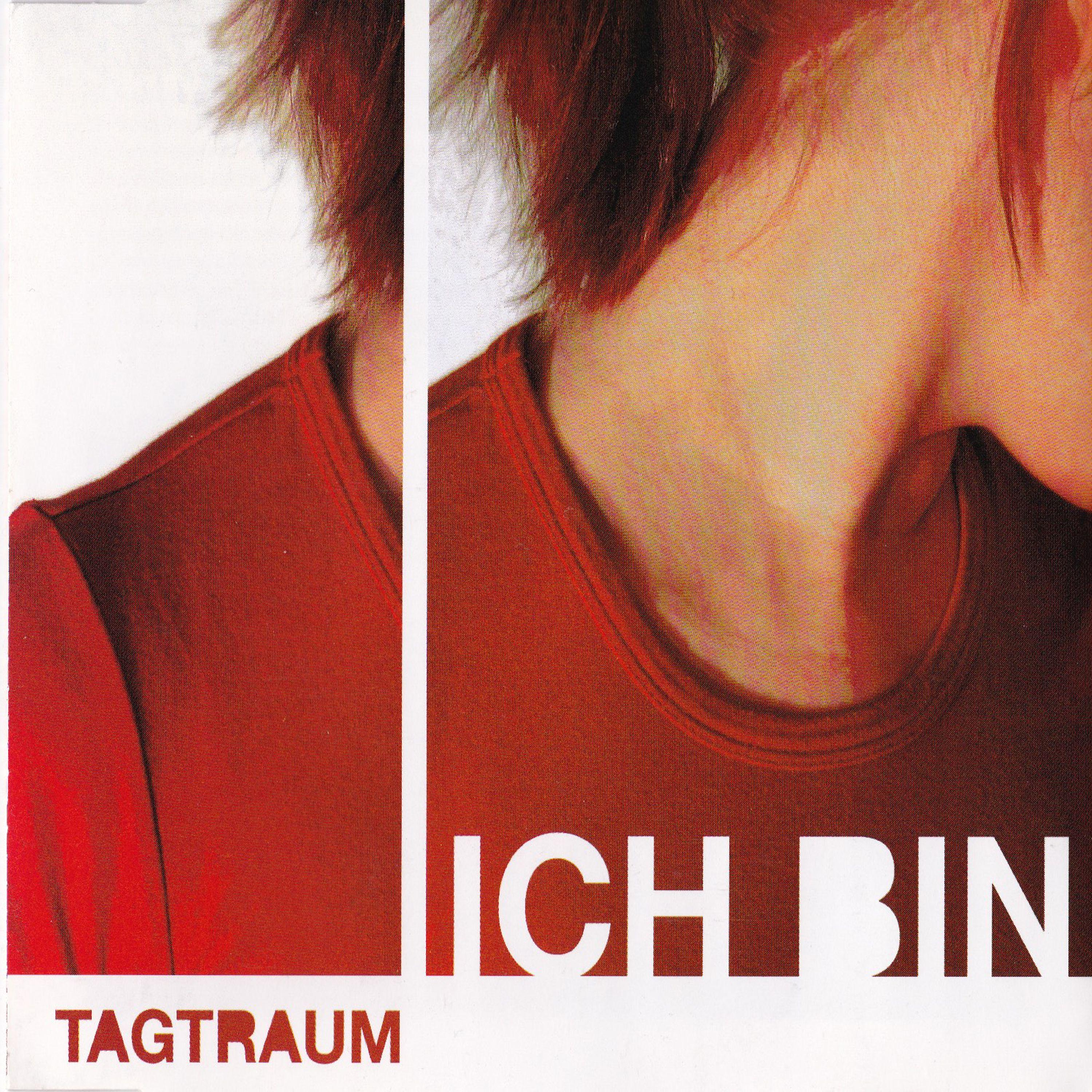 Постер альбома Ich bin