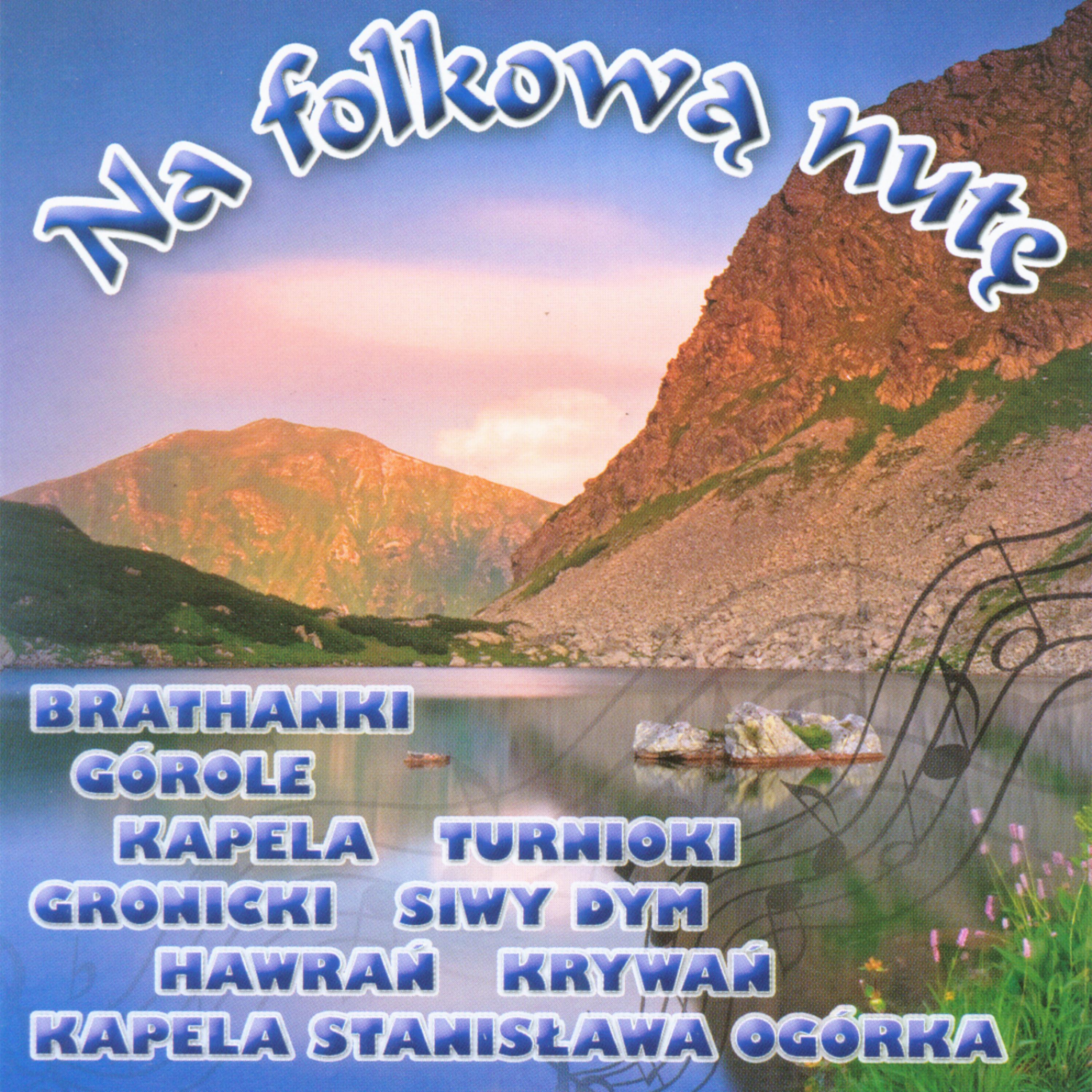 Постер альбома Na folkowa nute vol.1  (Highlanders Music from Poland)