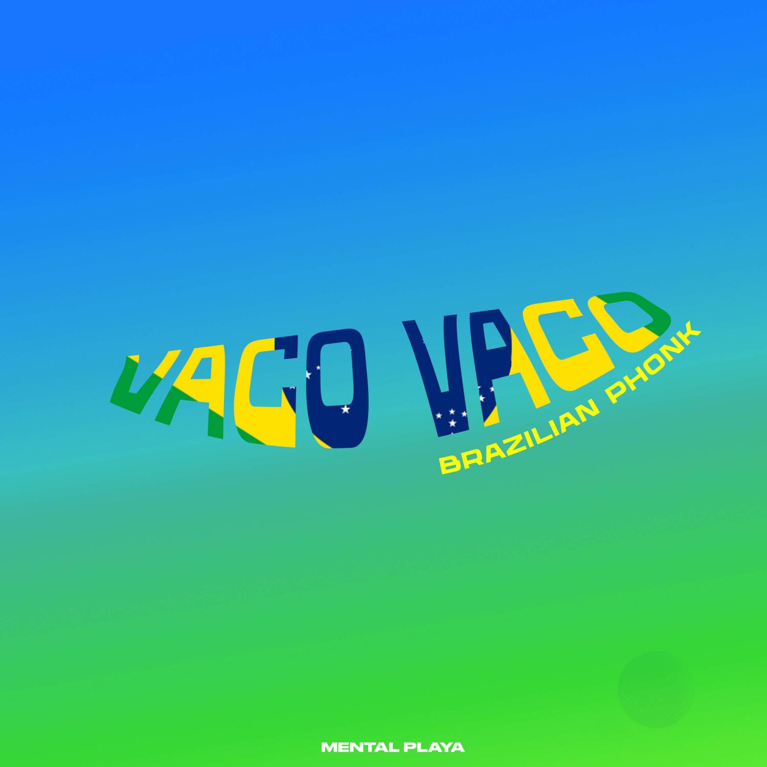 Постер альбома Brazilian Phonk VAPO VAPO