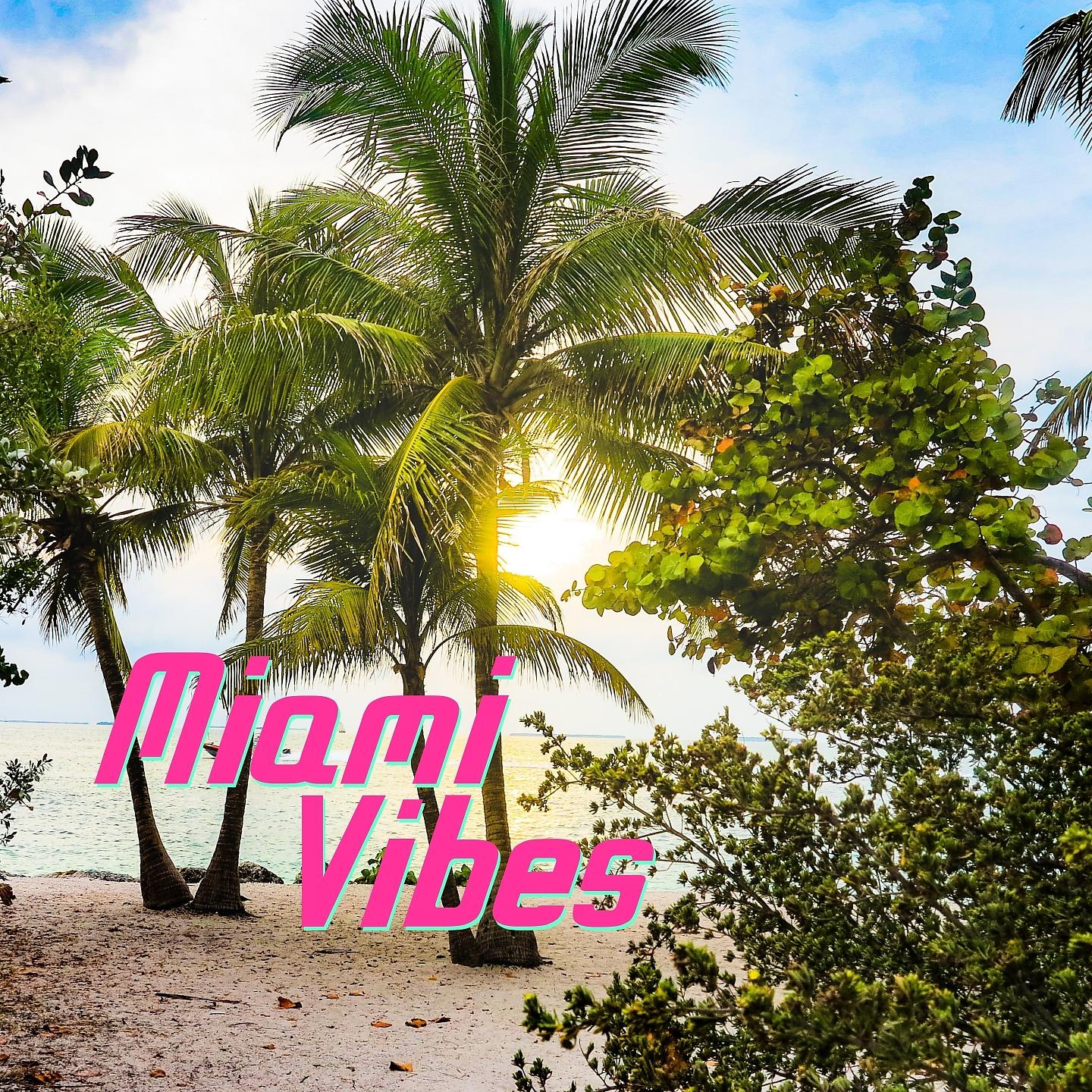Постер альбома Miami vibes