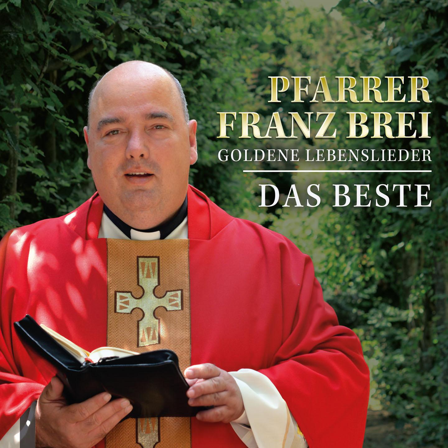 Постер альбома Goldene Lebenslieder - Das Beste