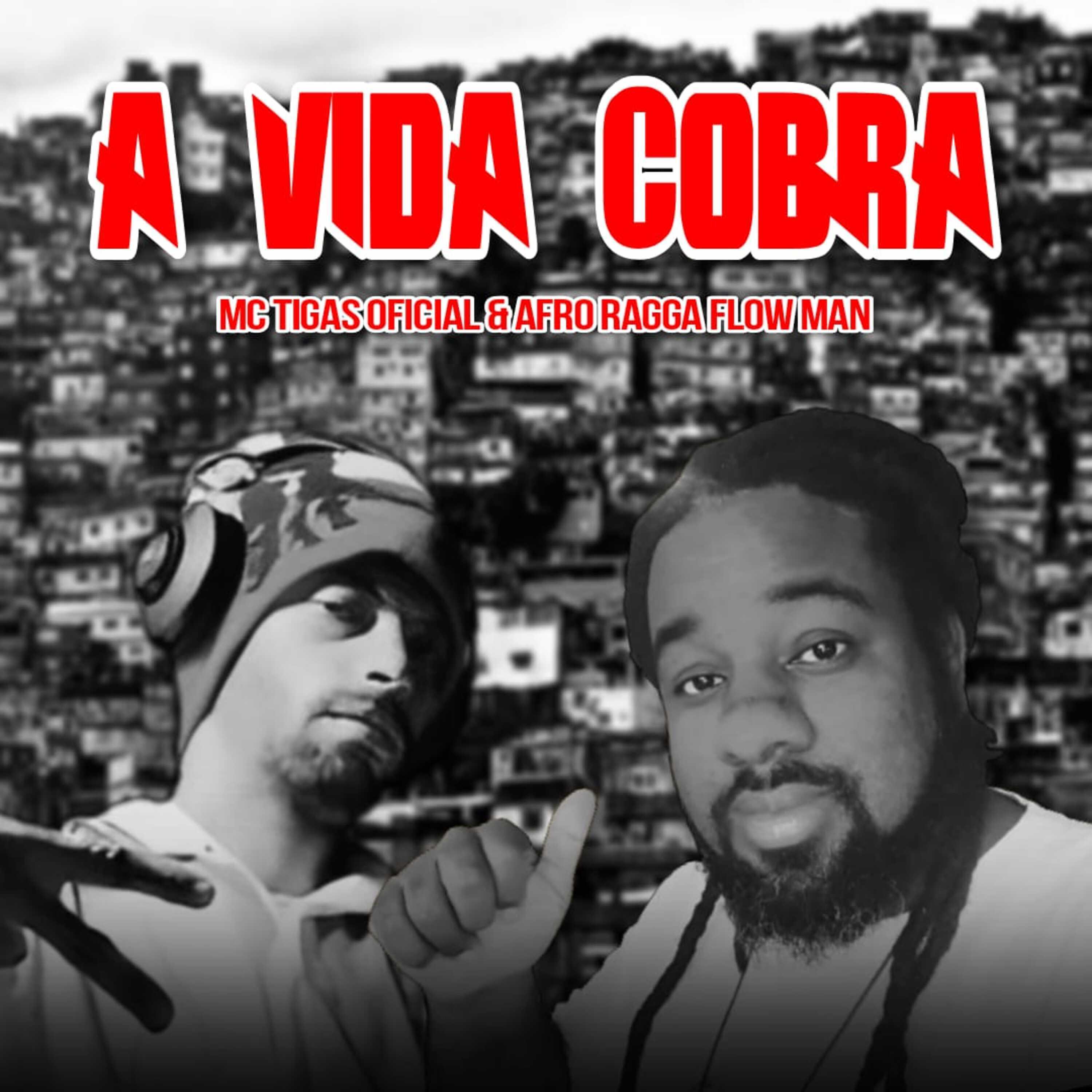 Постер альбома A Vida Cobra