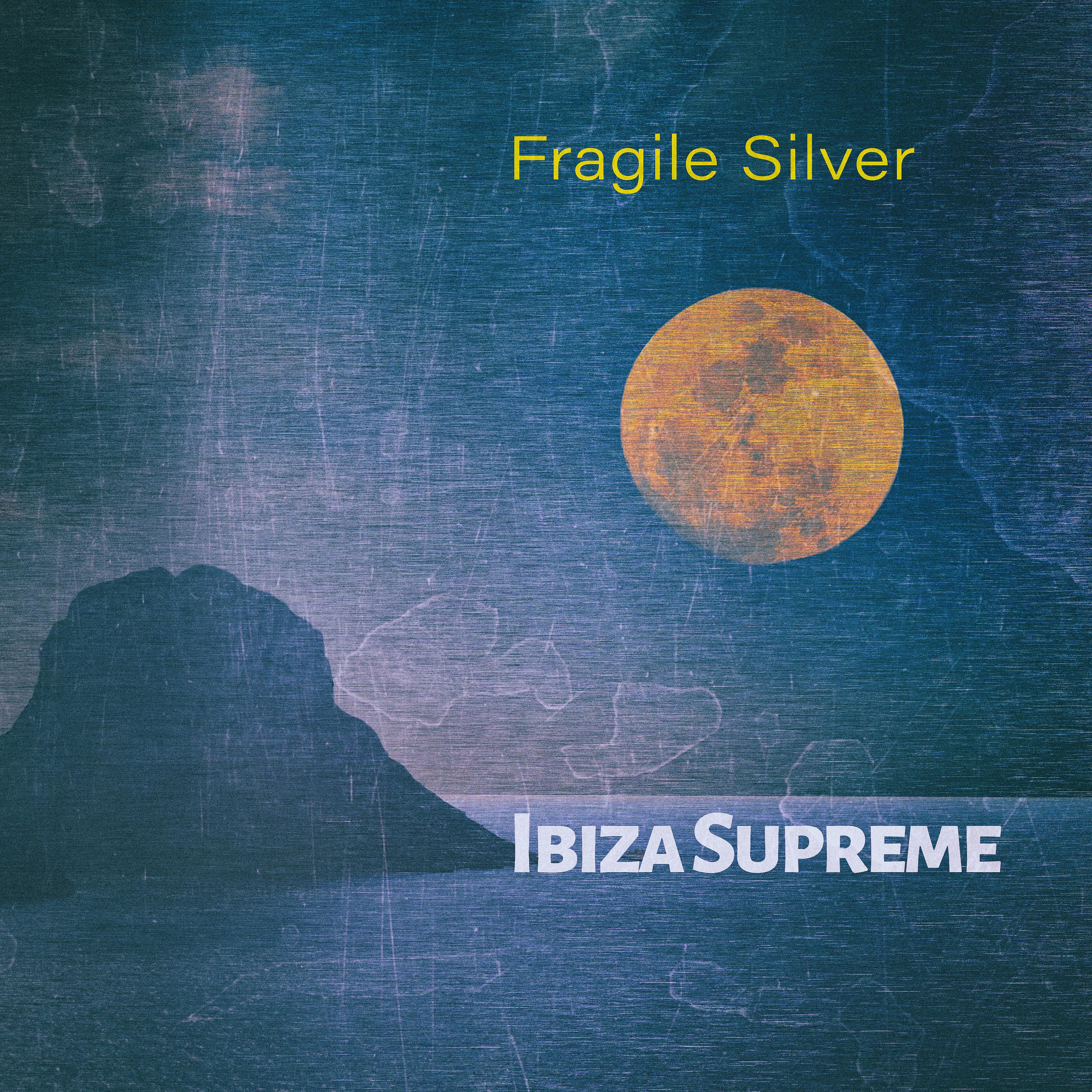 Постер альбома Fragile Silver