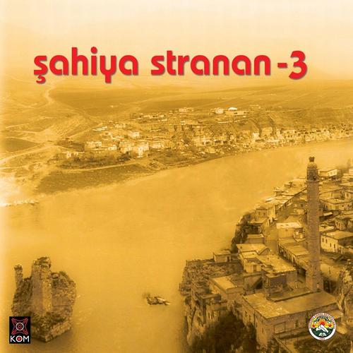 Постер альбома Şahiya Stranan, Vol. 3