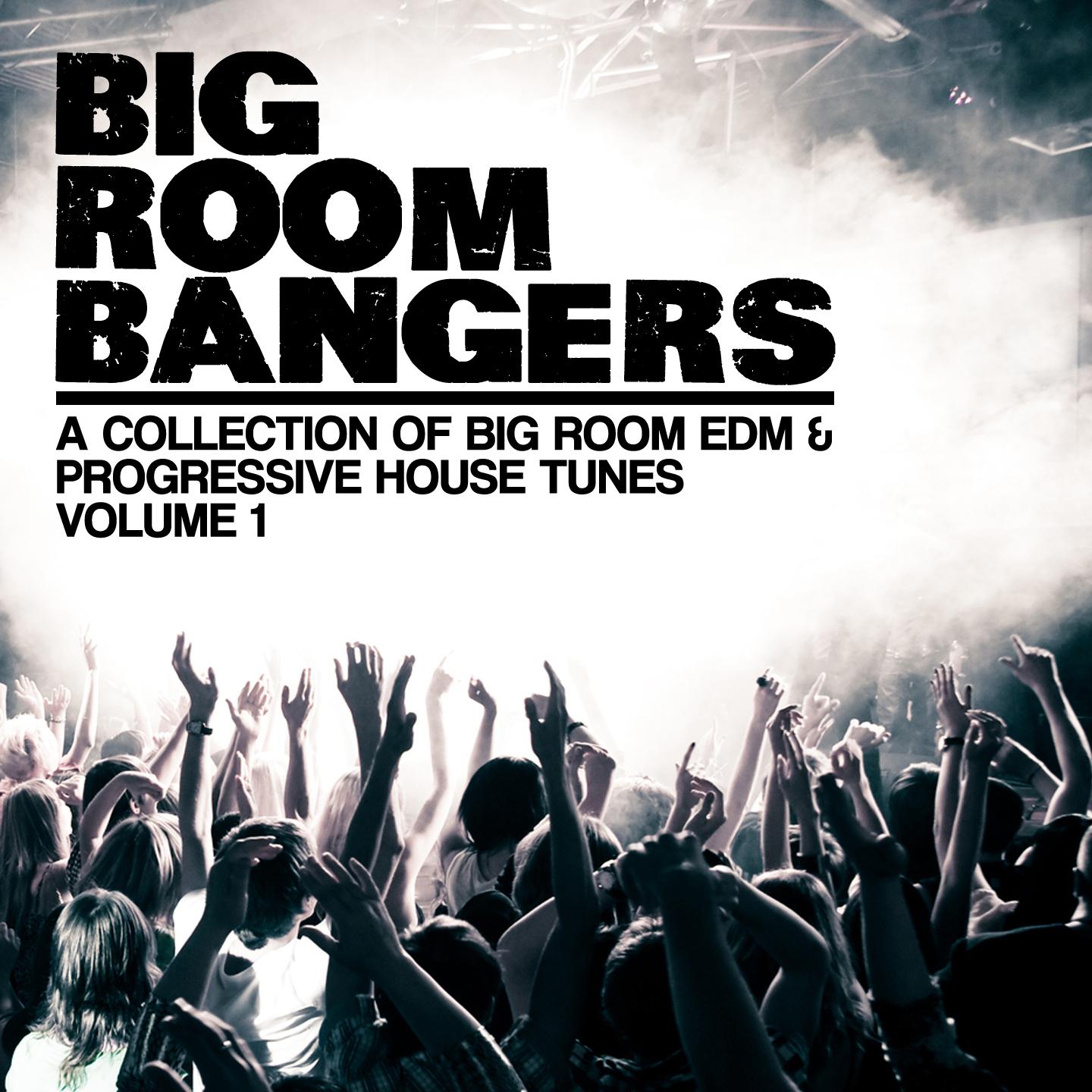 Постер альбома Bigroom Bangers, Vol. 1