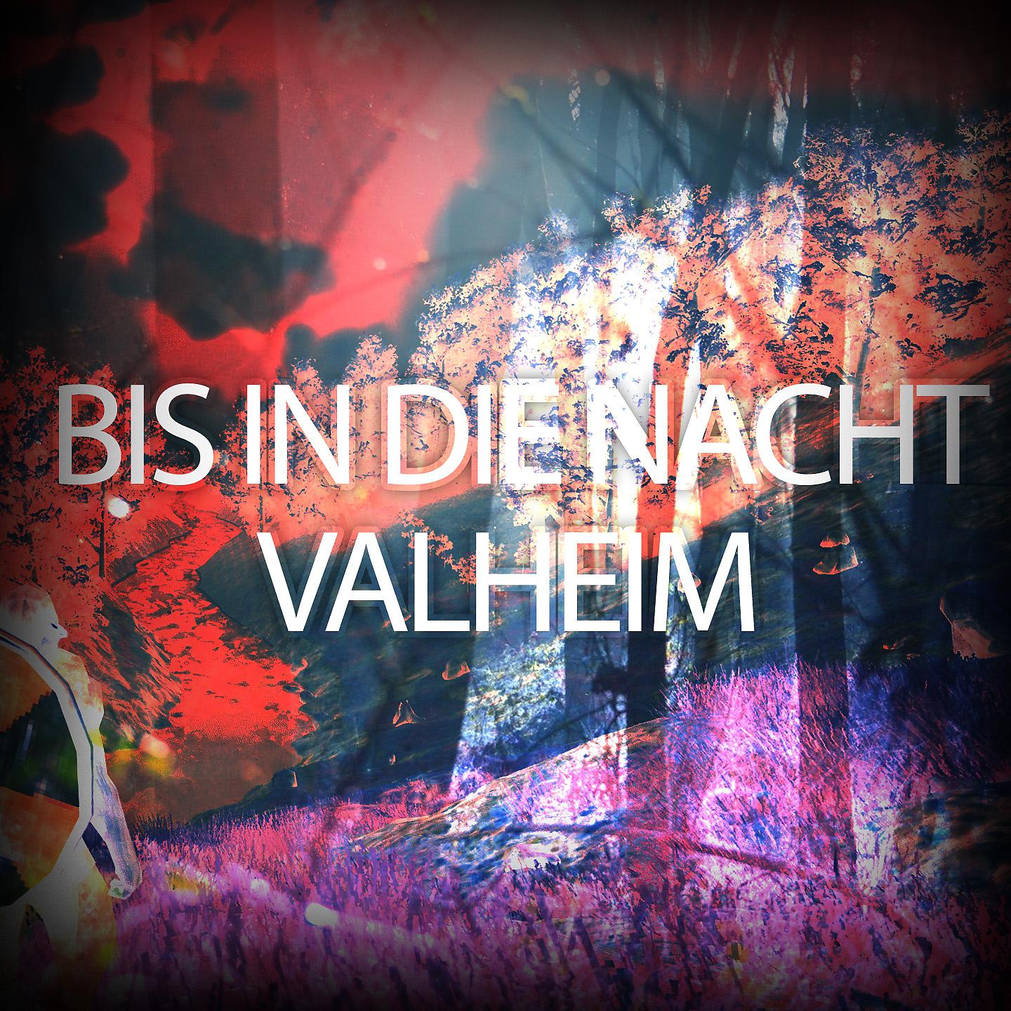 Постер альбома Bis in die Nacht - Valheim