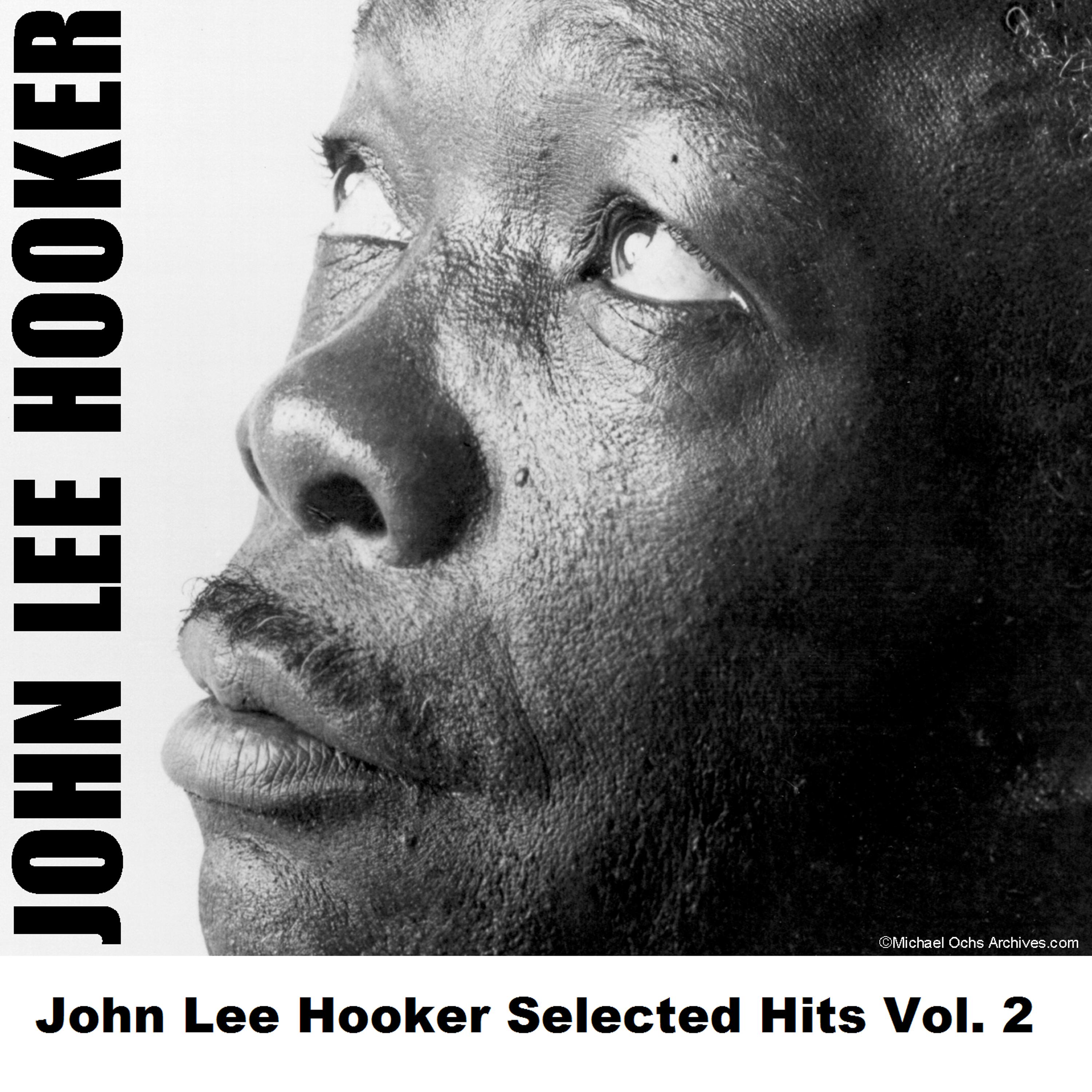 Постер альбома John Lee Hooker Selected Hits Vol. 2