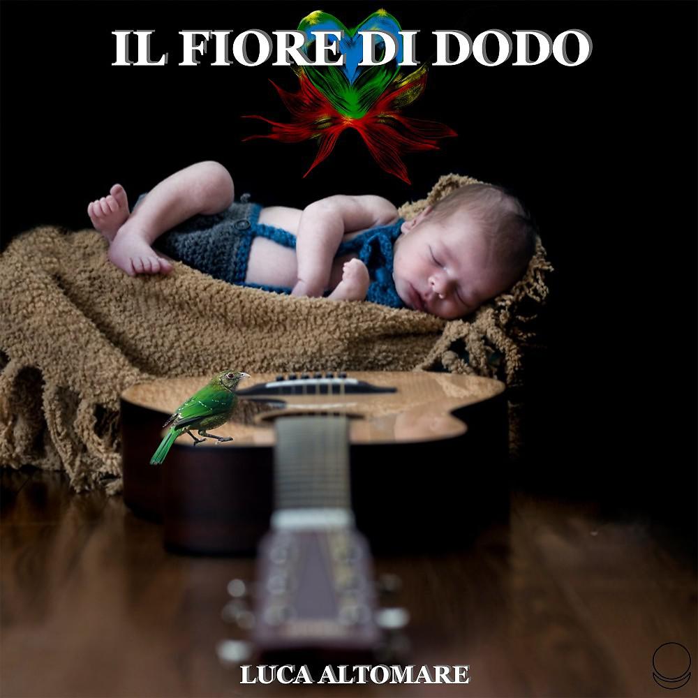 Постер альбома Il Fiore di Dodo
