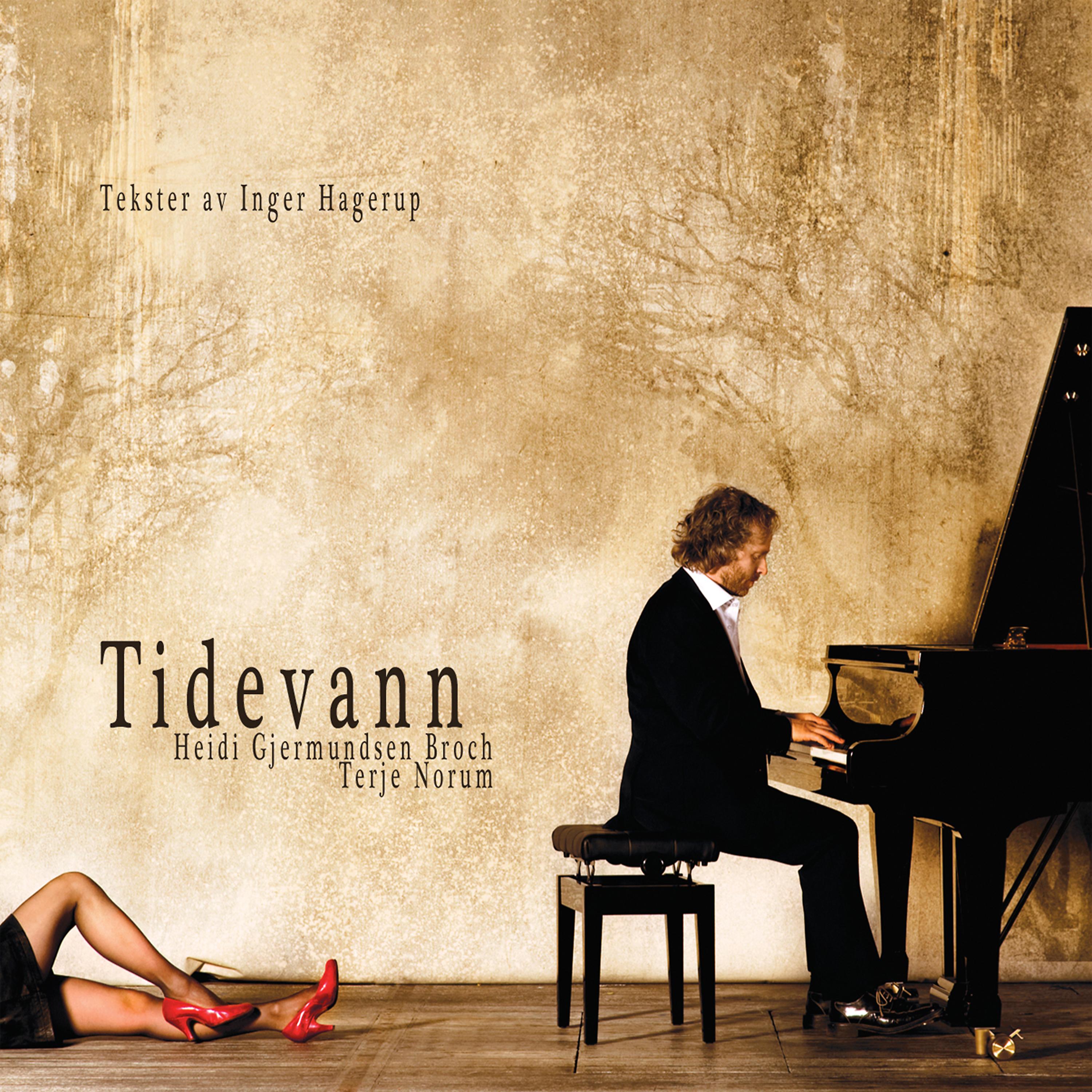 Постер альбома Tidevann