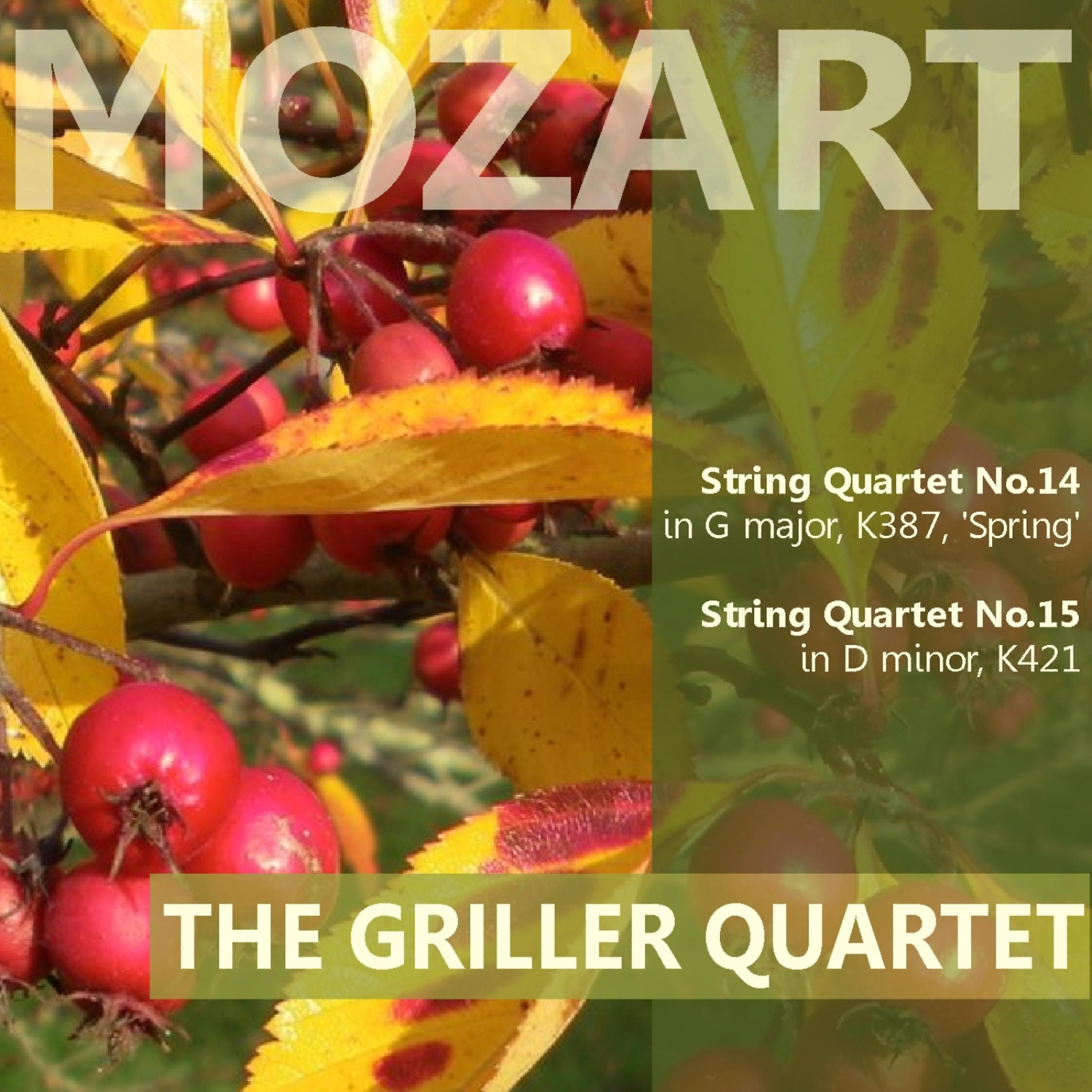 Постер альбома Mozart: String Quartet No. 14 in G Major "Spring", String Quartet No. 15 in D Minor