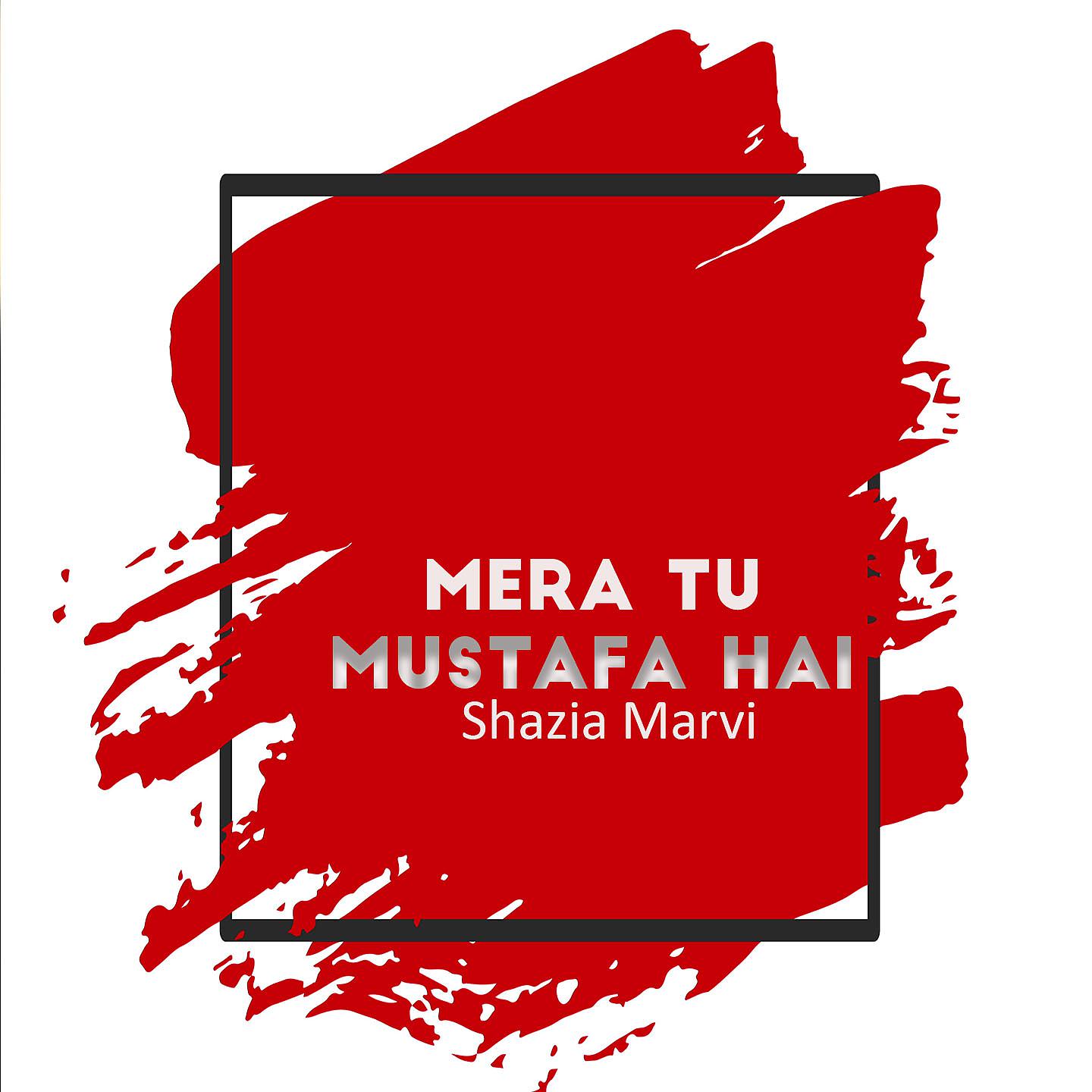 Постер альбома Mera Tu Mustafa Hai