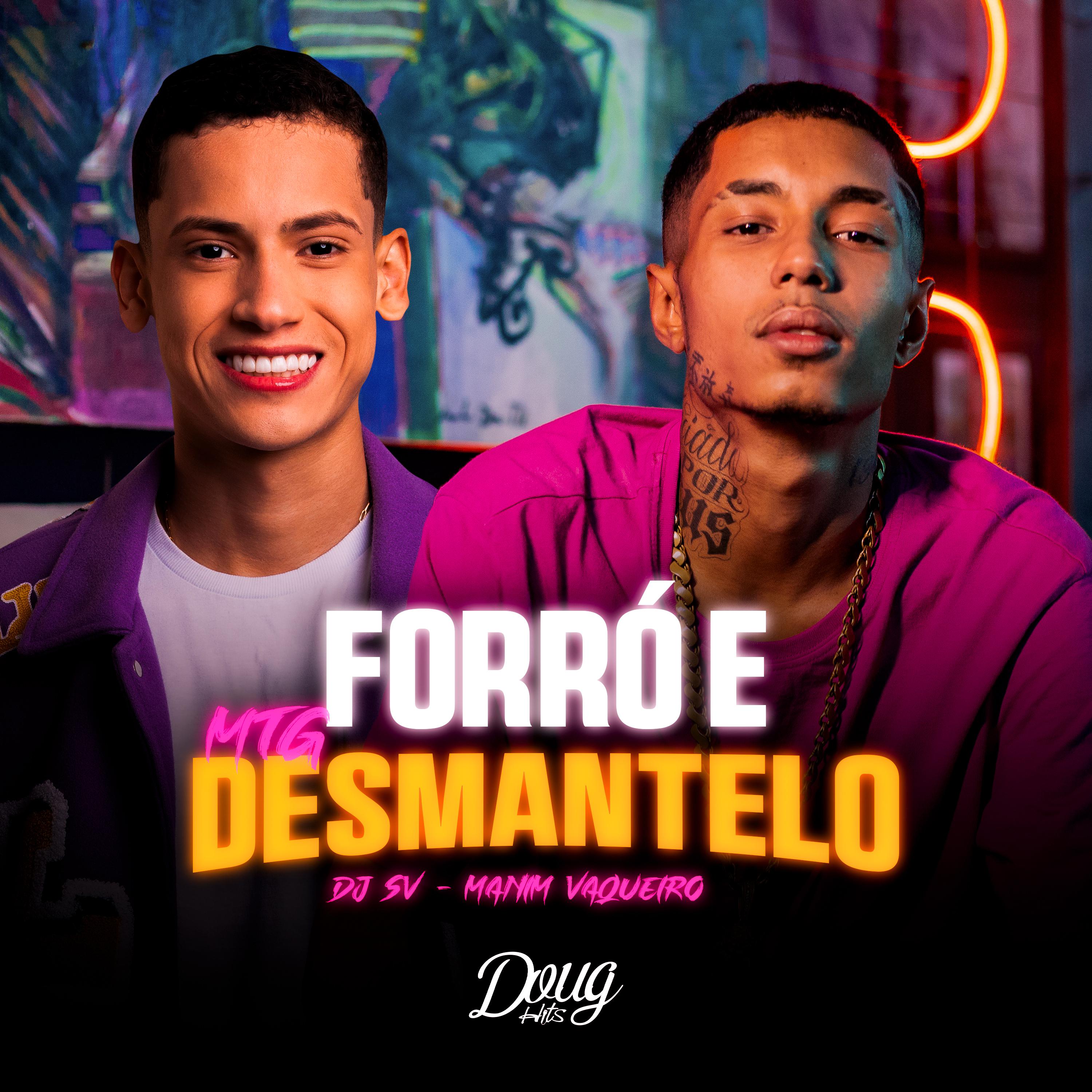Постер альбома Mtg Forró e Desmantelo