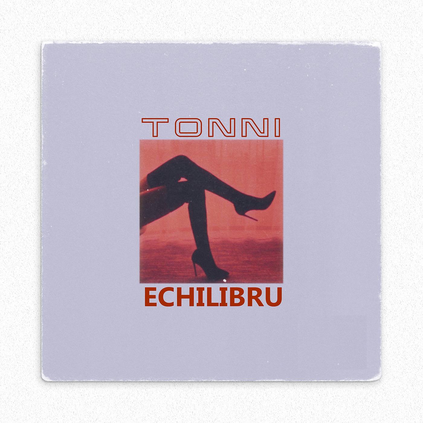 Постер альбома Echilibru