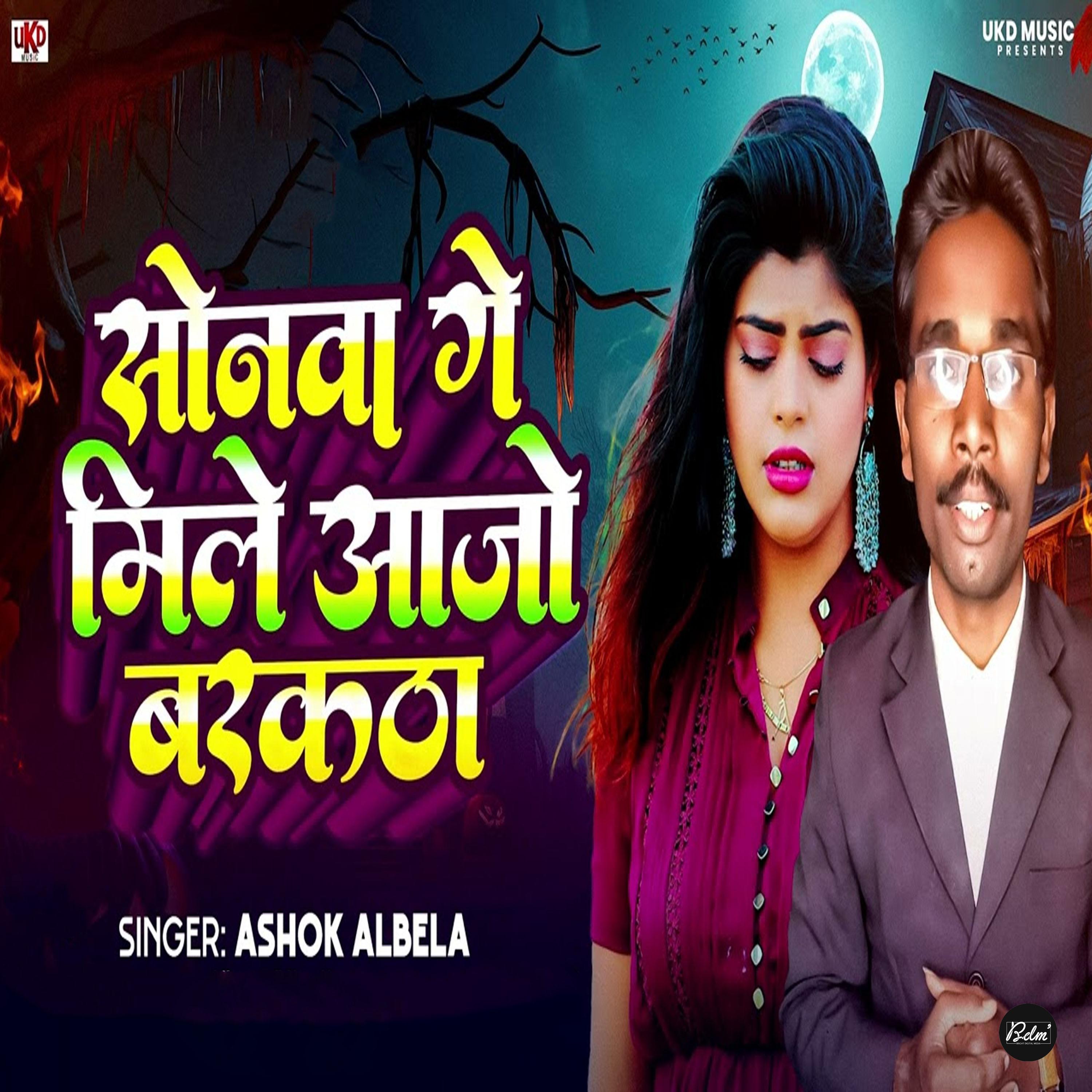 Постер альбома Sonva Ge Mile Aajo Barkatha