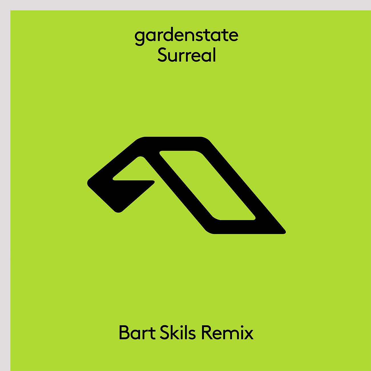 Постер альбома Surreal (Bart Skils Remix)