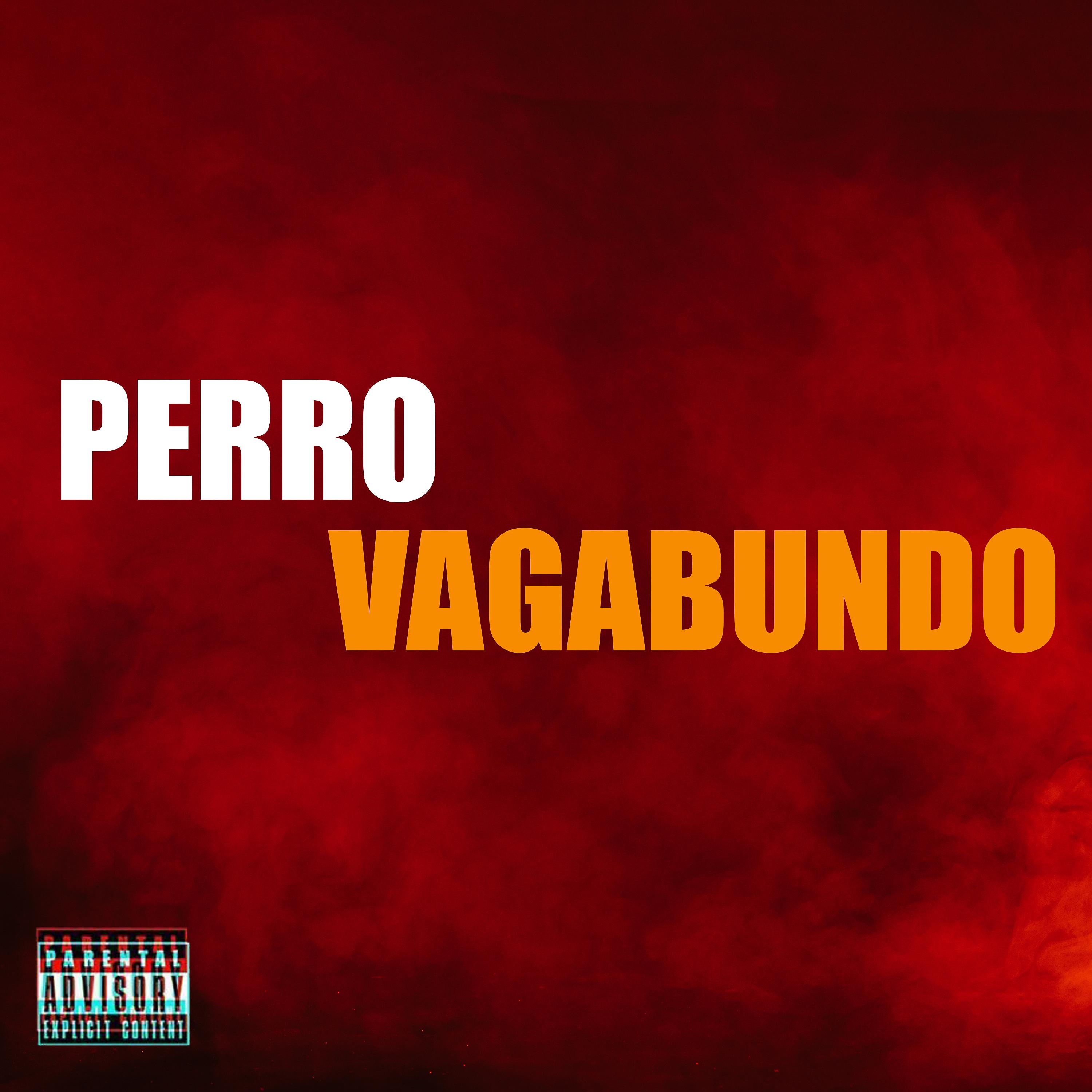 Постер альбома Perro Vagabundo