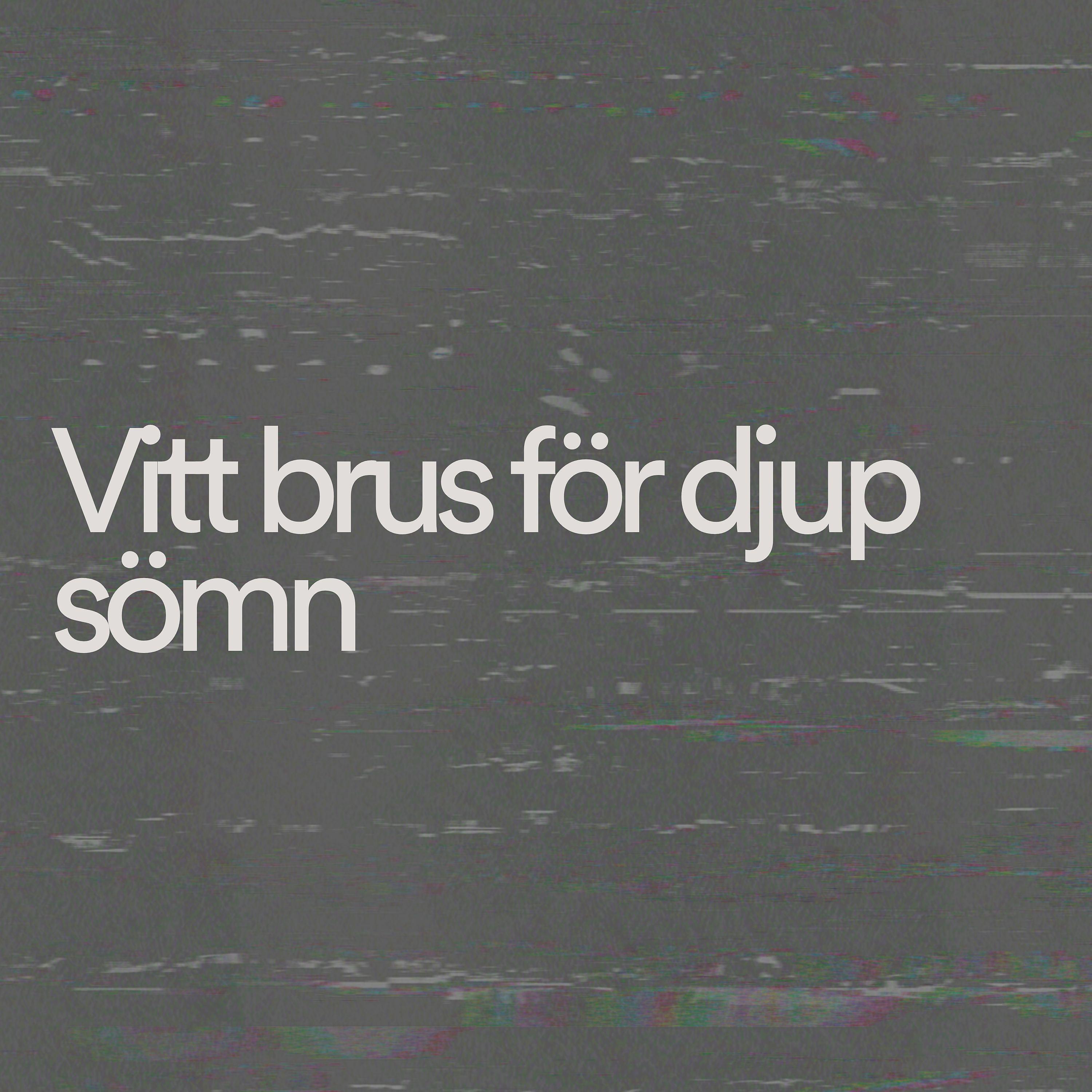 Постер альбома Vitt brus för djup sömn