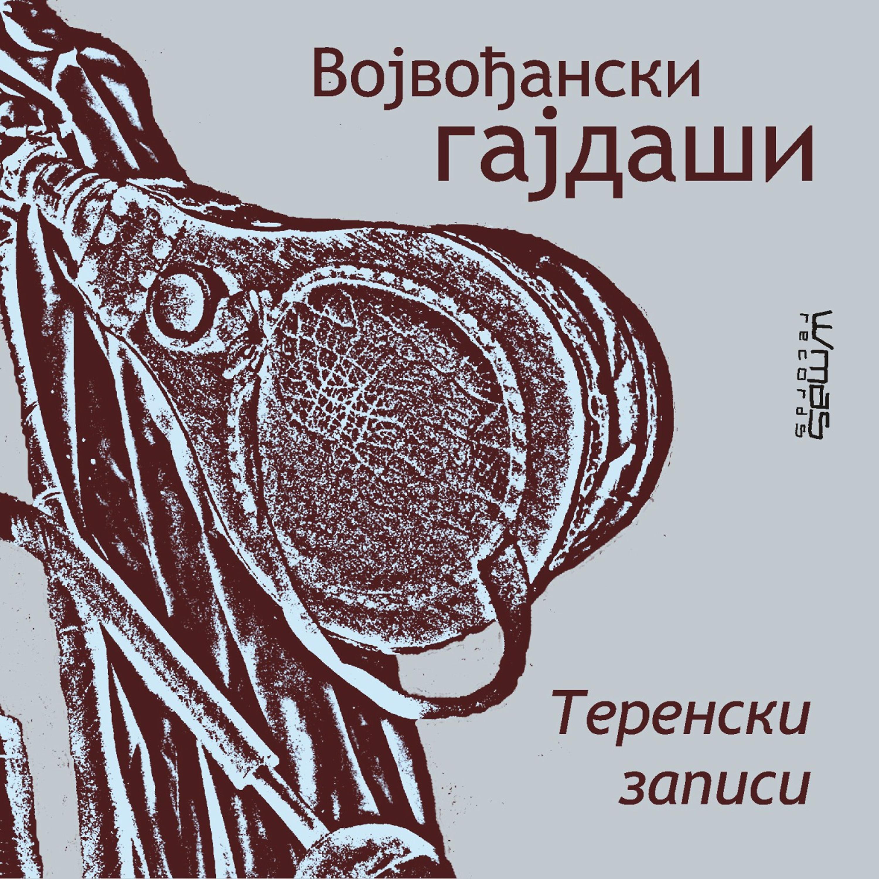 Постер альбома Terenski zapisi
