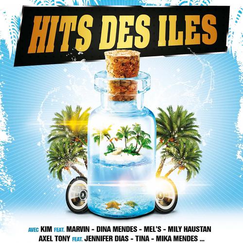 Постер альбома Hits des îles