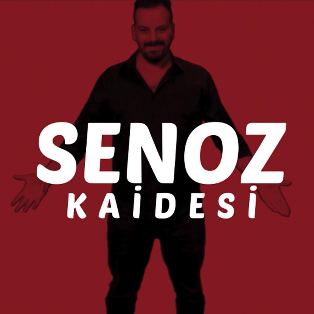 Постер альбома Senoz Kaidesi