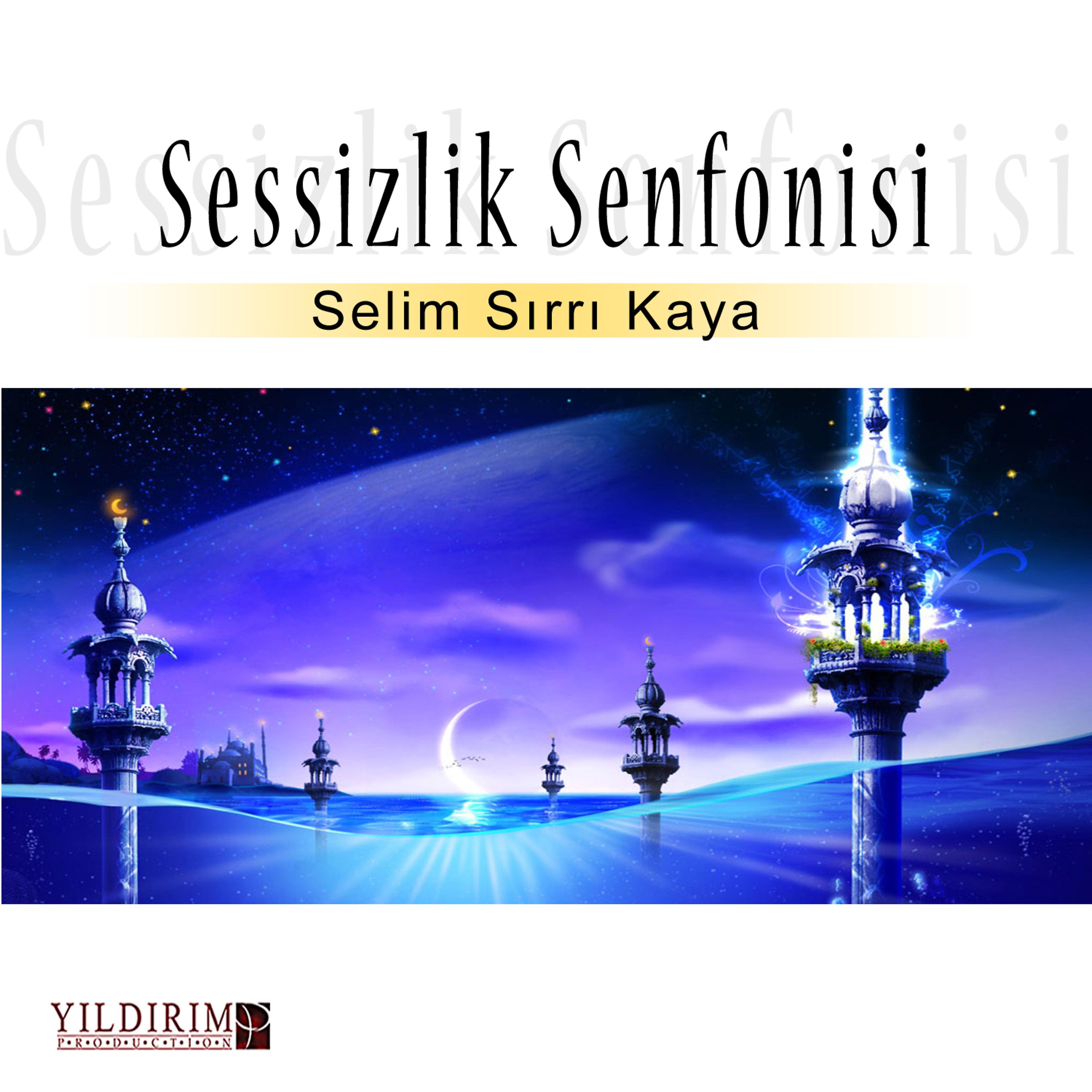 Постер альбома Sessizlik Senfonisi