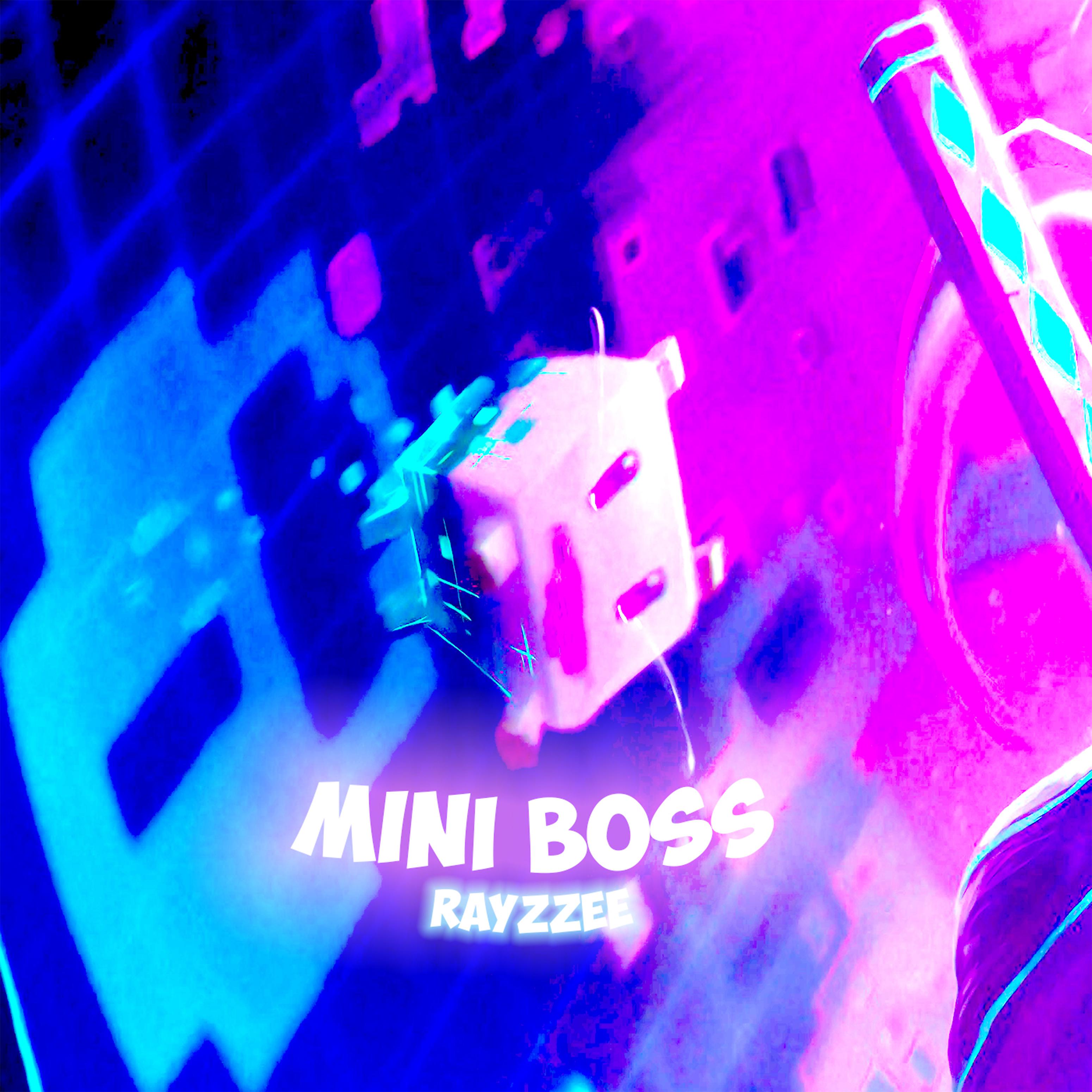 Постер альбома Mini Boss