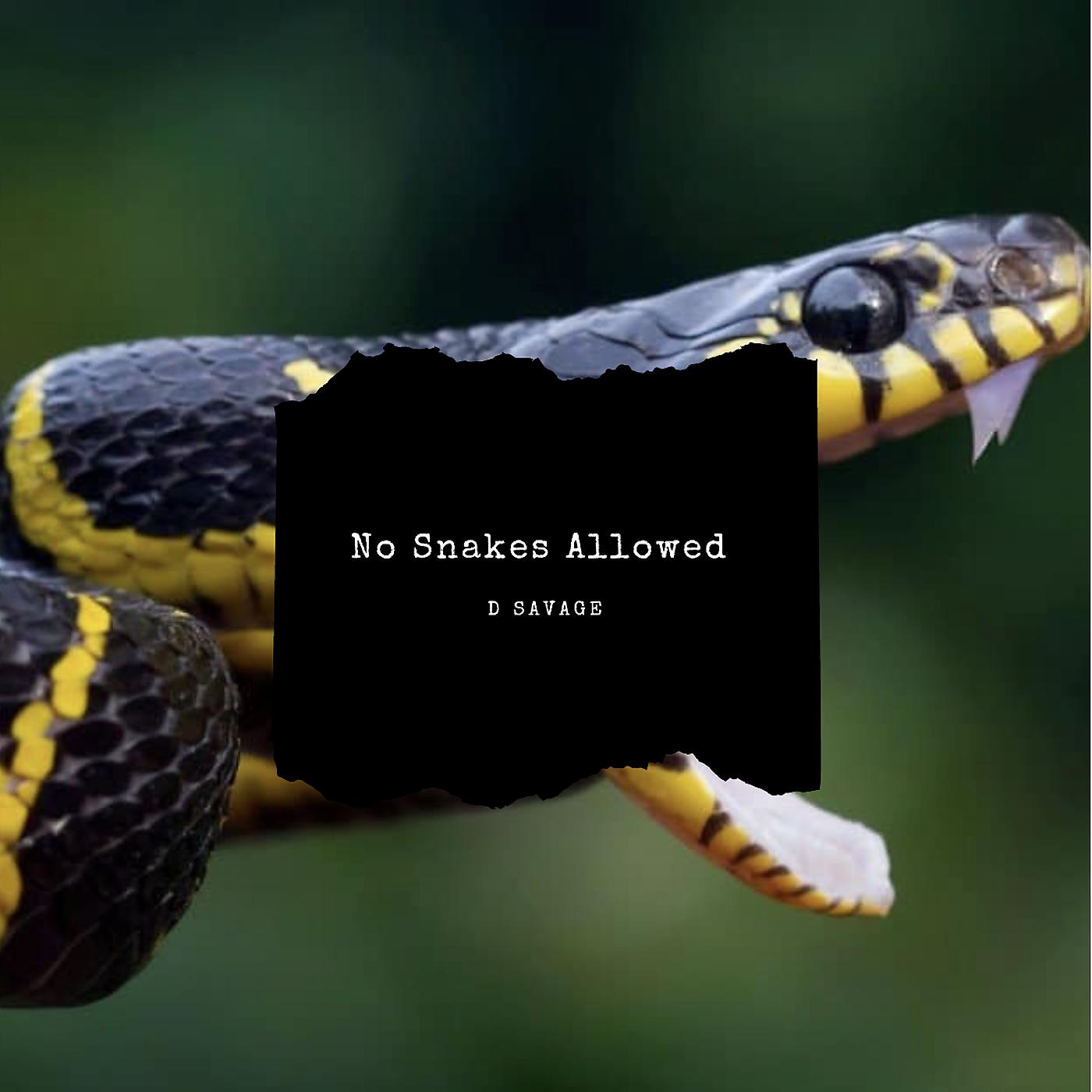 Постер альбома No Snakes Allowed