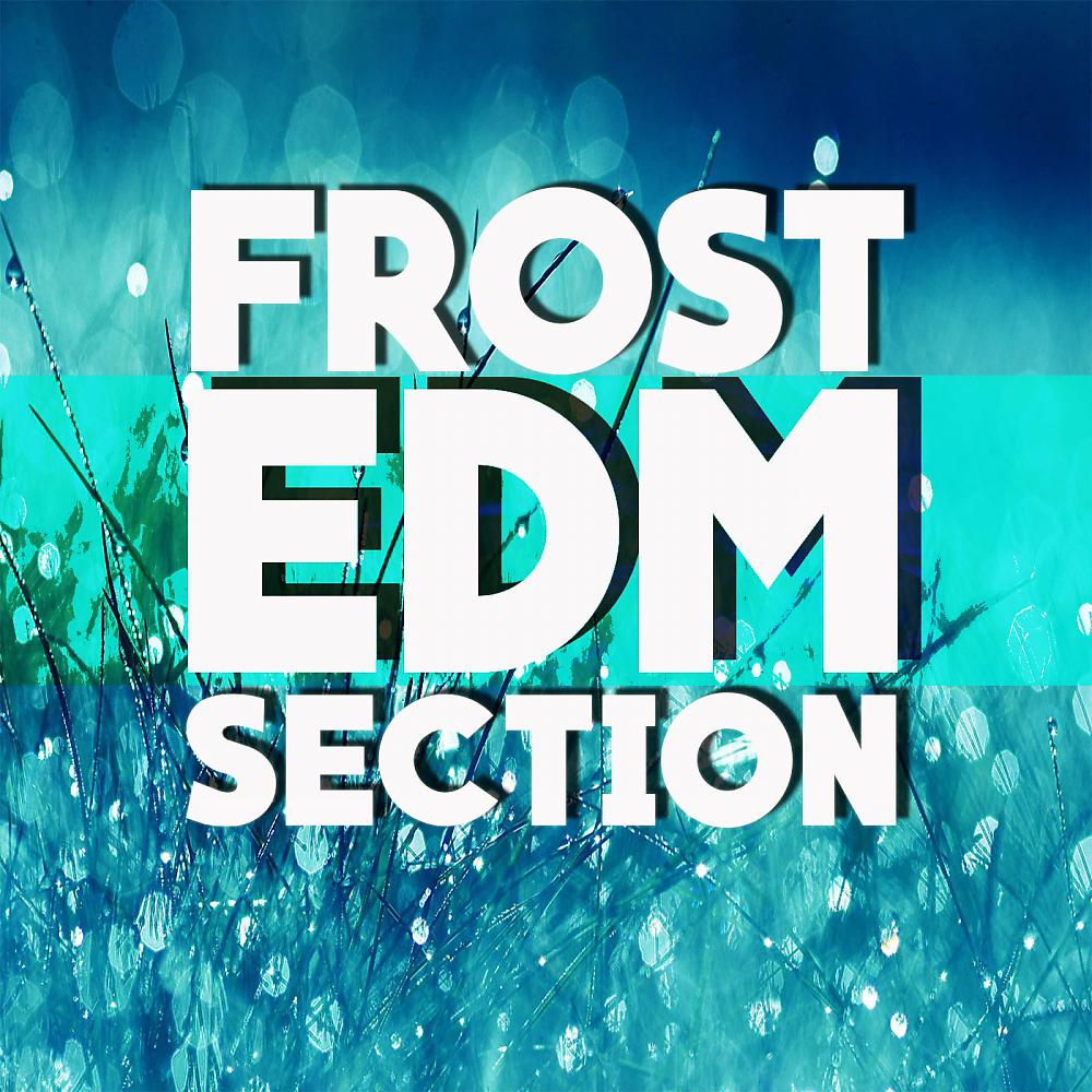 Постер альбома Frost EDM Section