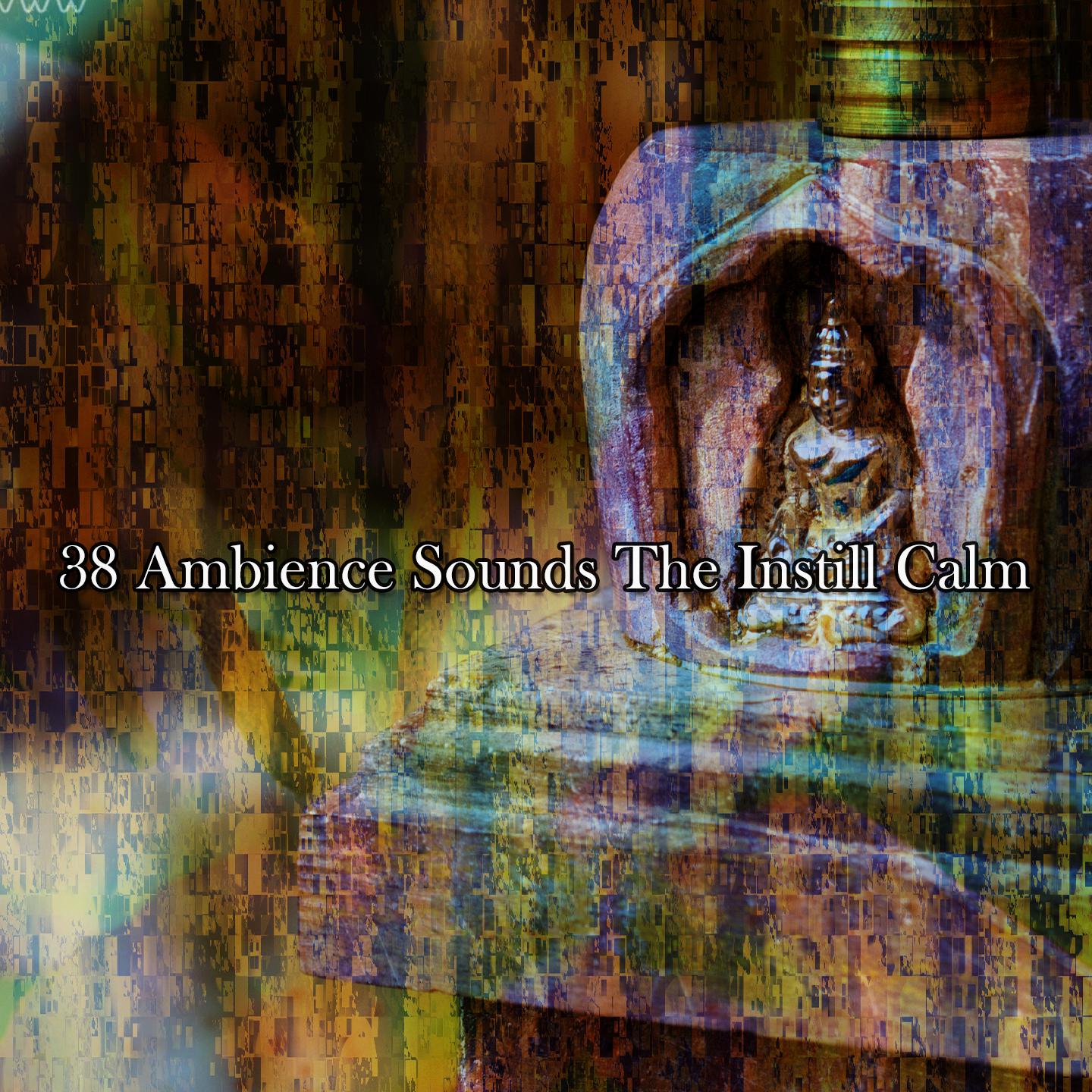 Постер альбома 38 Ambience Sounds The Instill Calm