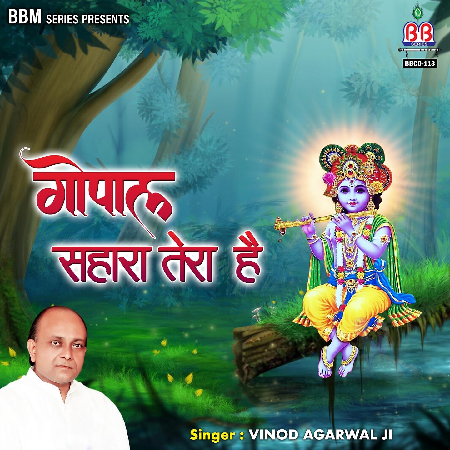 Постер альбома Gopal Sahara Tera Hai