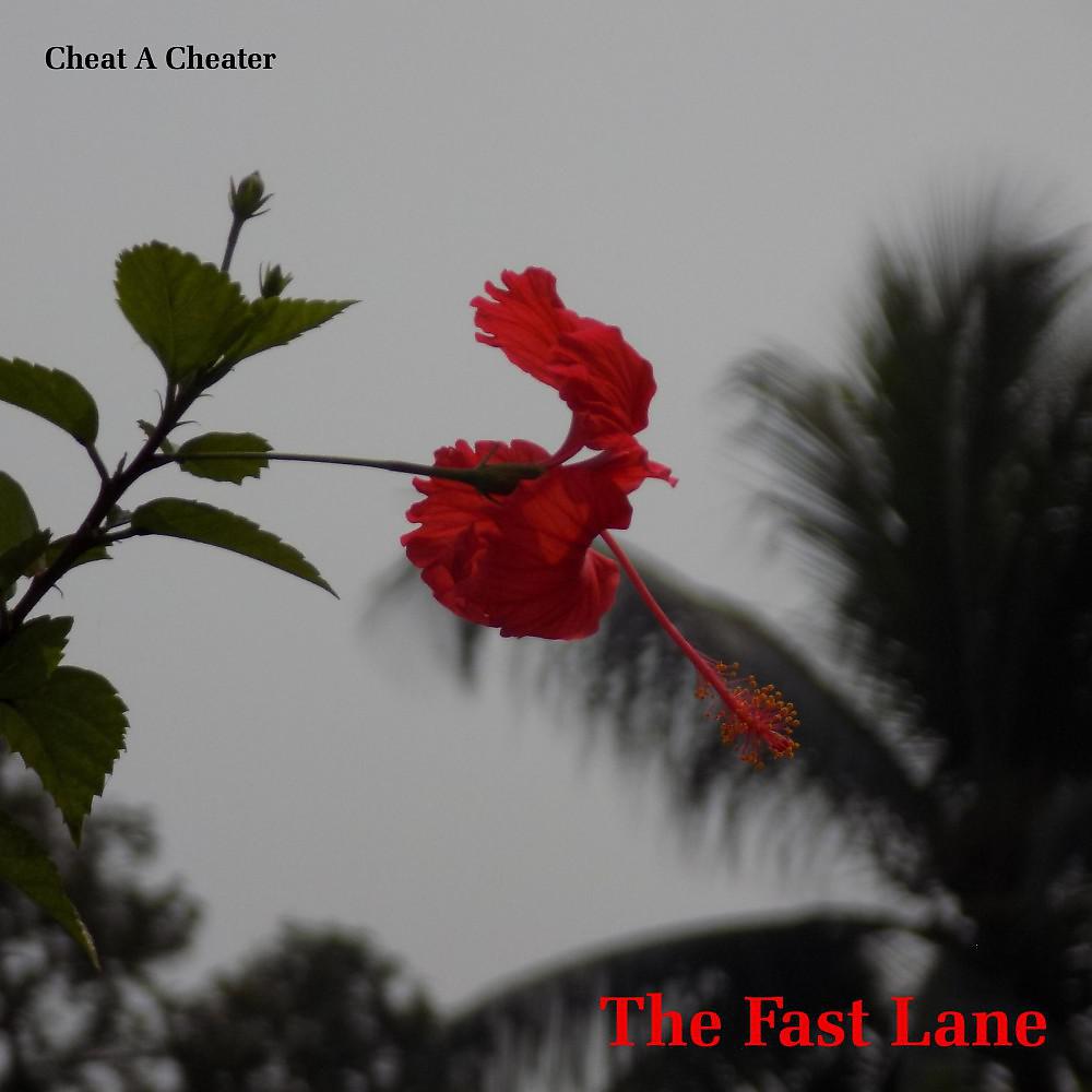 Постер альбома The Fast Lane