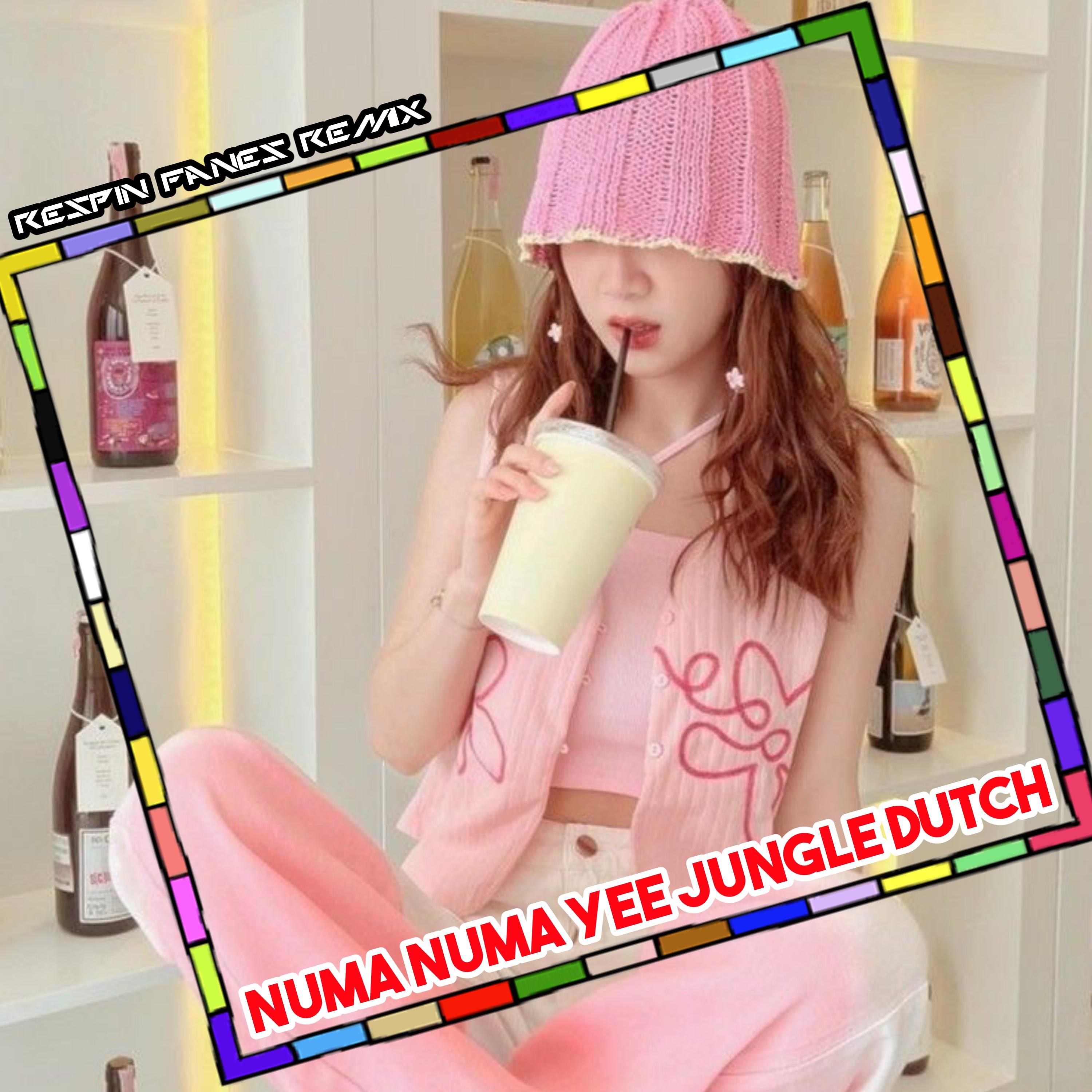 Постер альбома NUMA NUMA YEE JUNGLE DUTCH