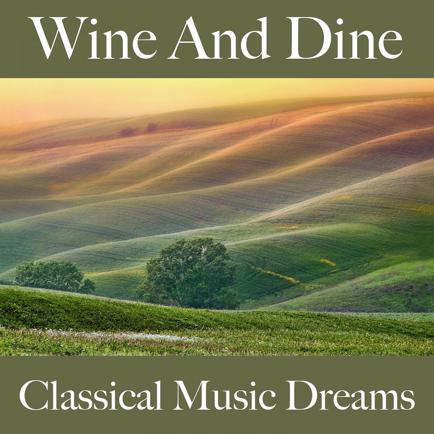 Постер альбома Wine And Dine: Classical Music Dreams - Os Melhores Sons Para Relaxar