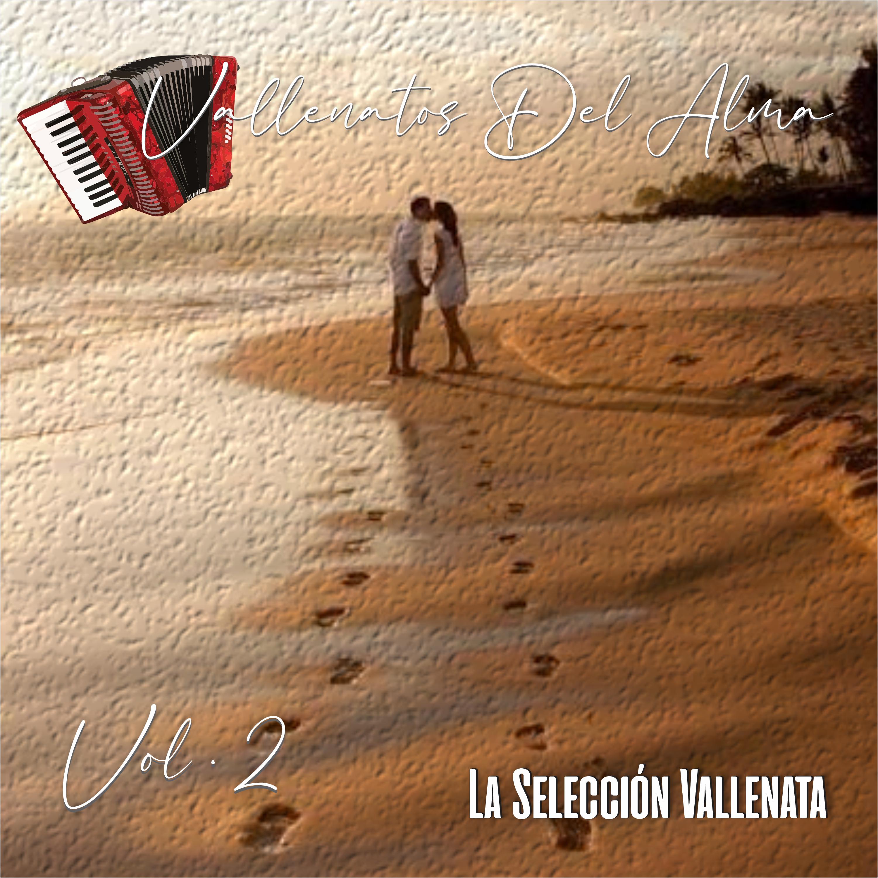 Постер альбома Vallenatos Del Alma, Vol.2