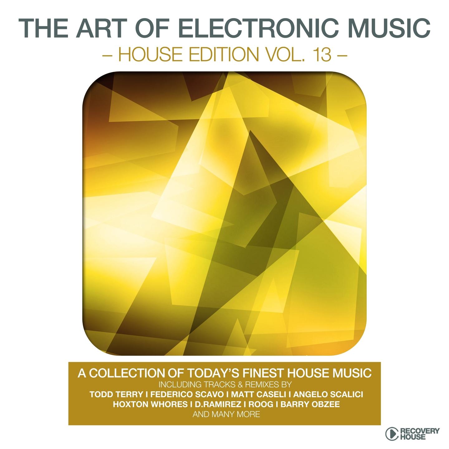 Постер альбома The Art of Electronic Music - House Edition, Vol. 13