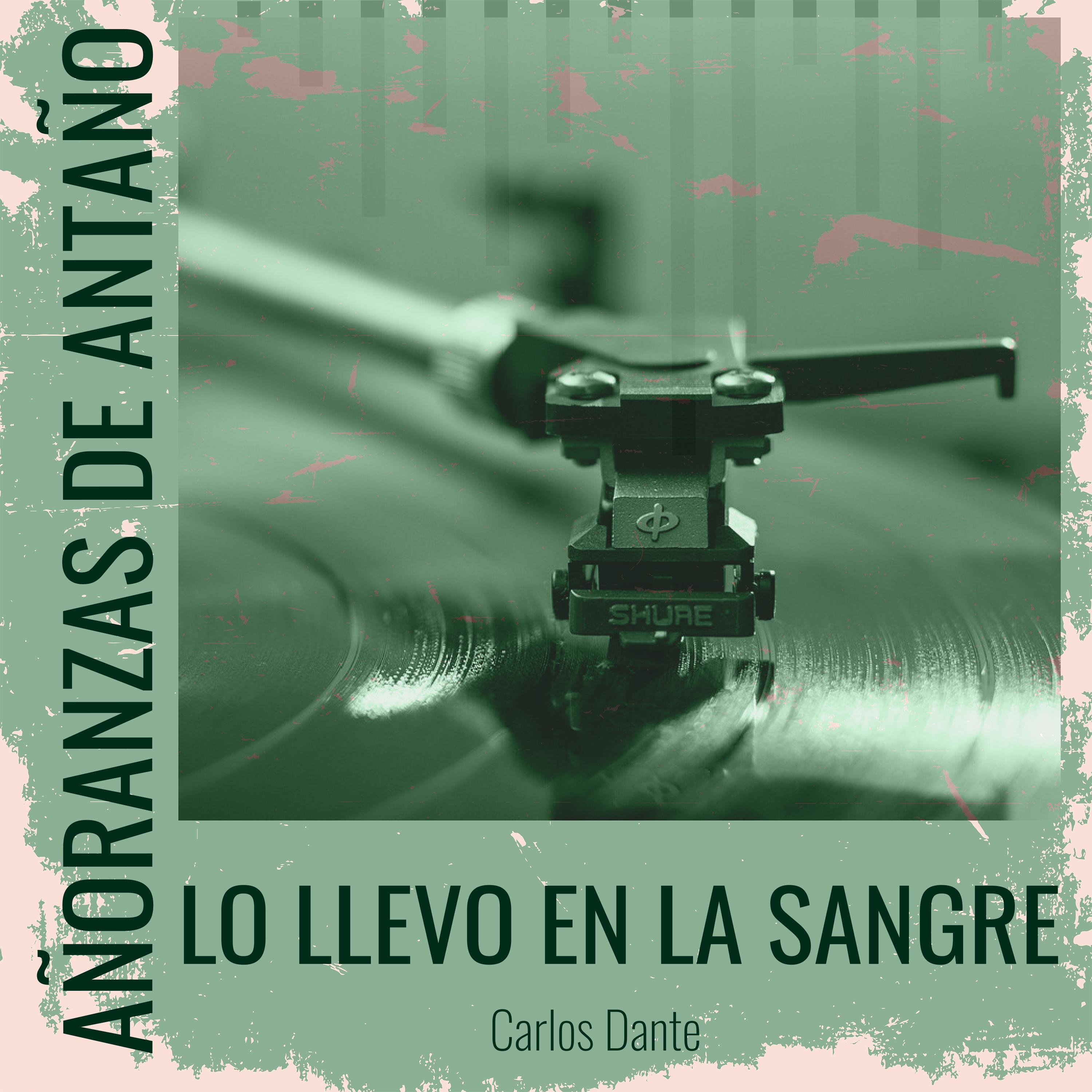 Постер альбома Añoranzas de Antaño - Lo Llevo En La Sangre
