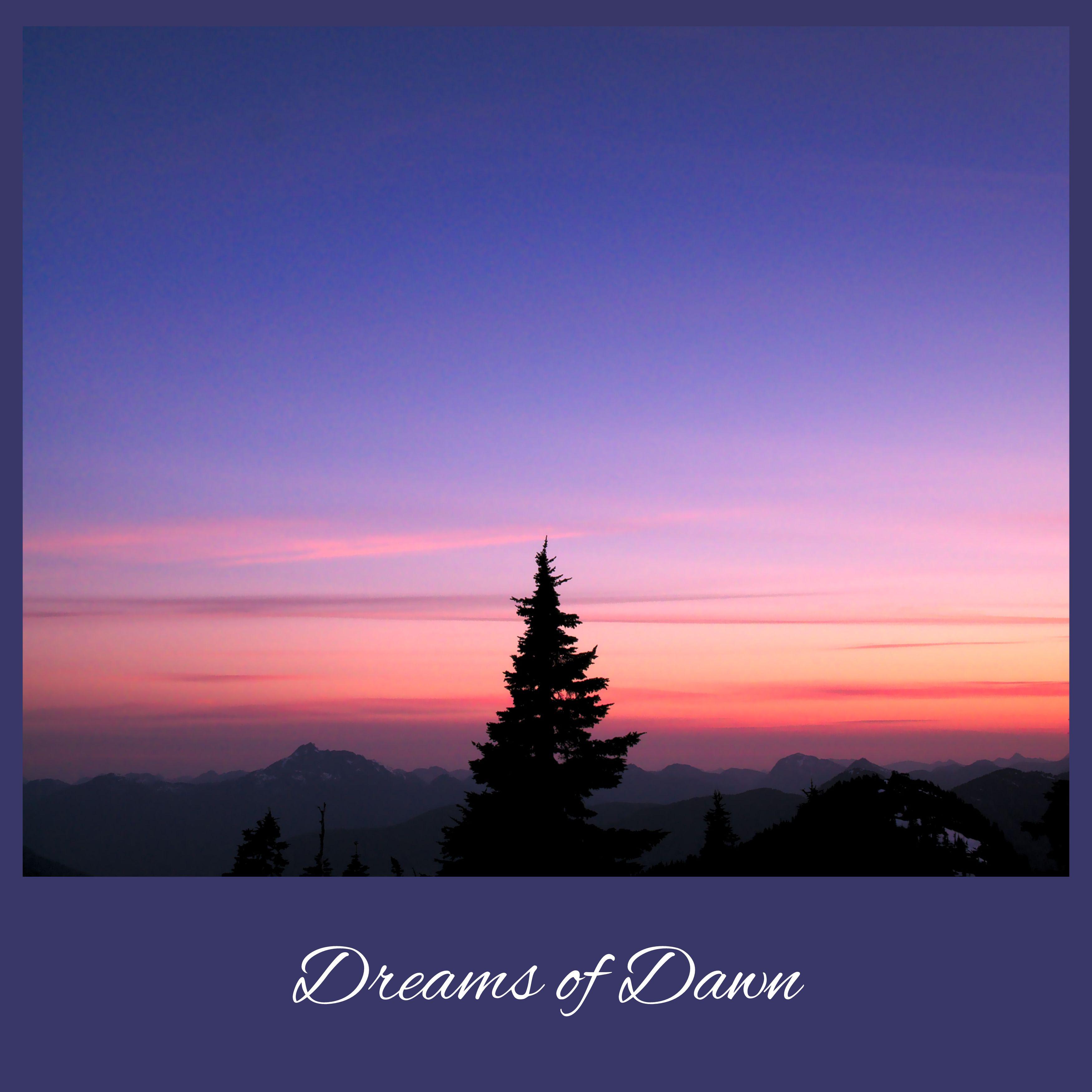 Постер альбома Dreams of Dawn