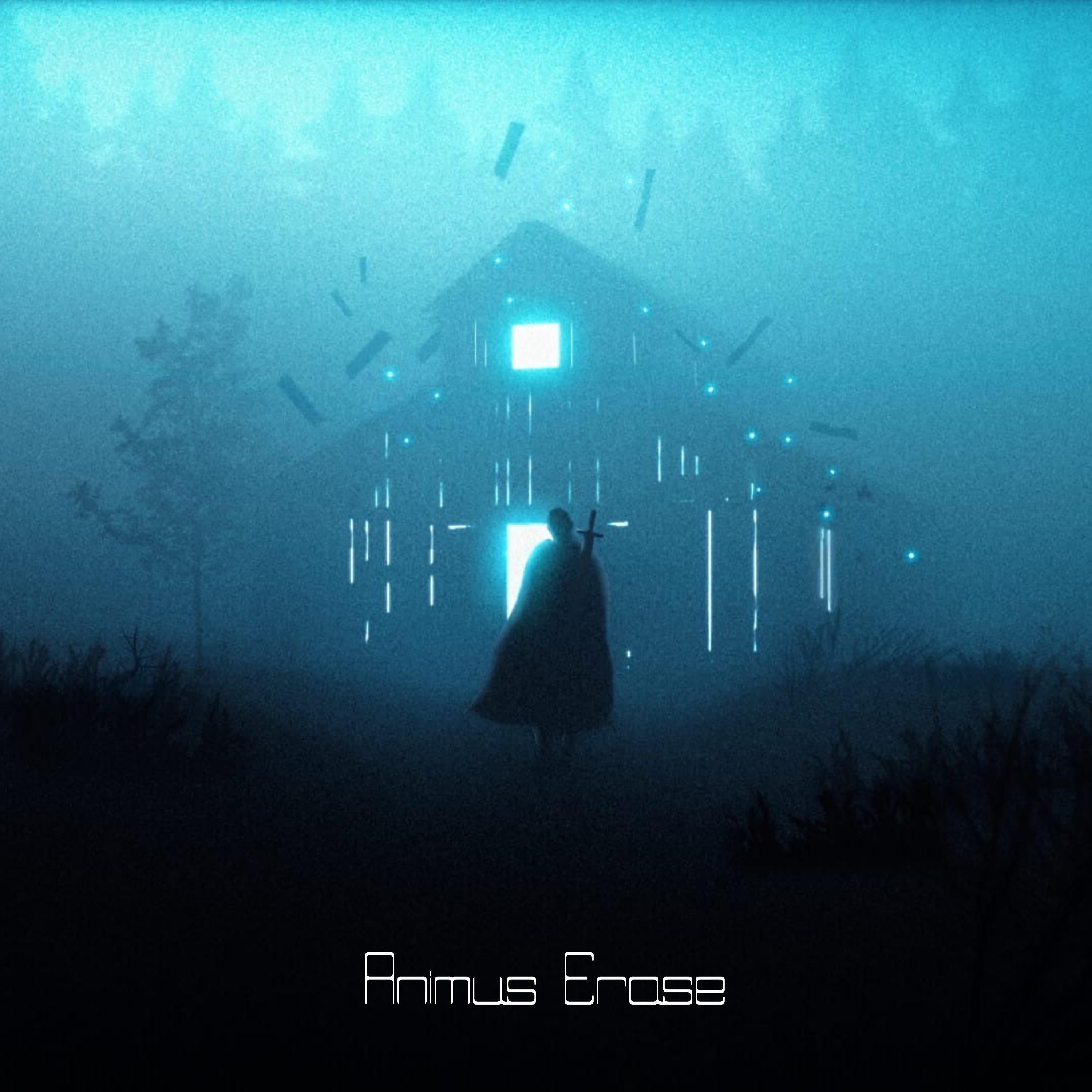 Постер альбома Animus Erase