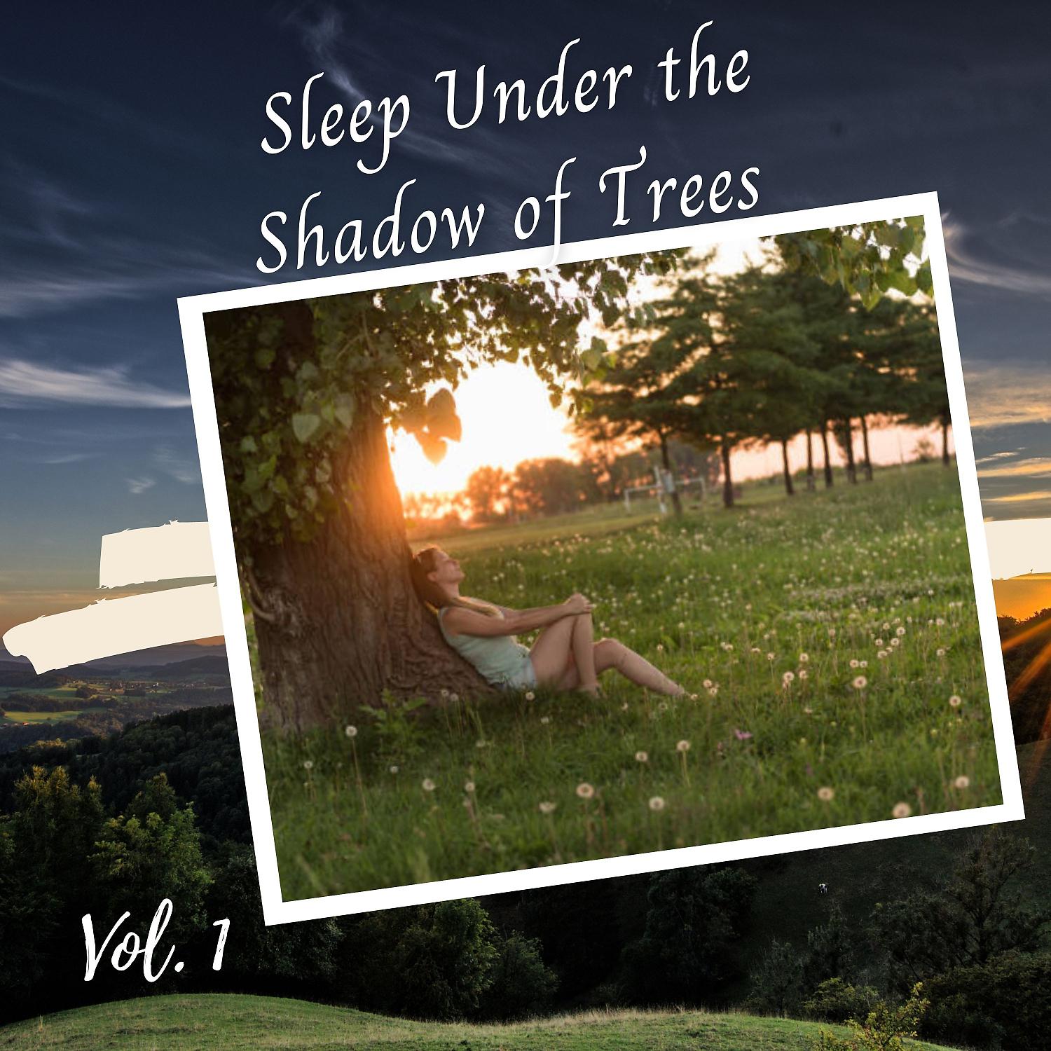 Постер альбома Sleep Under the Shadow of Trees Vol. 1
