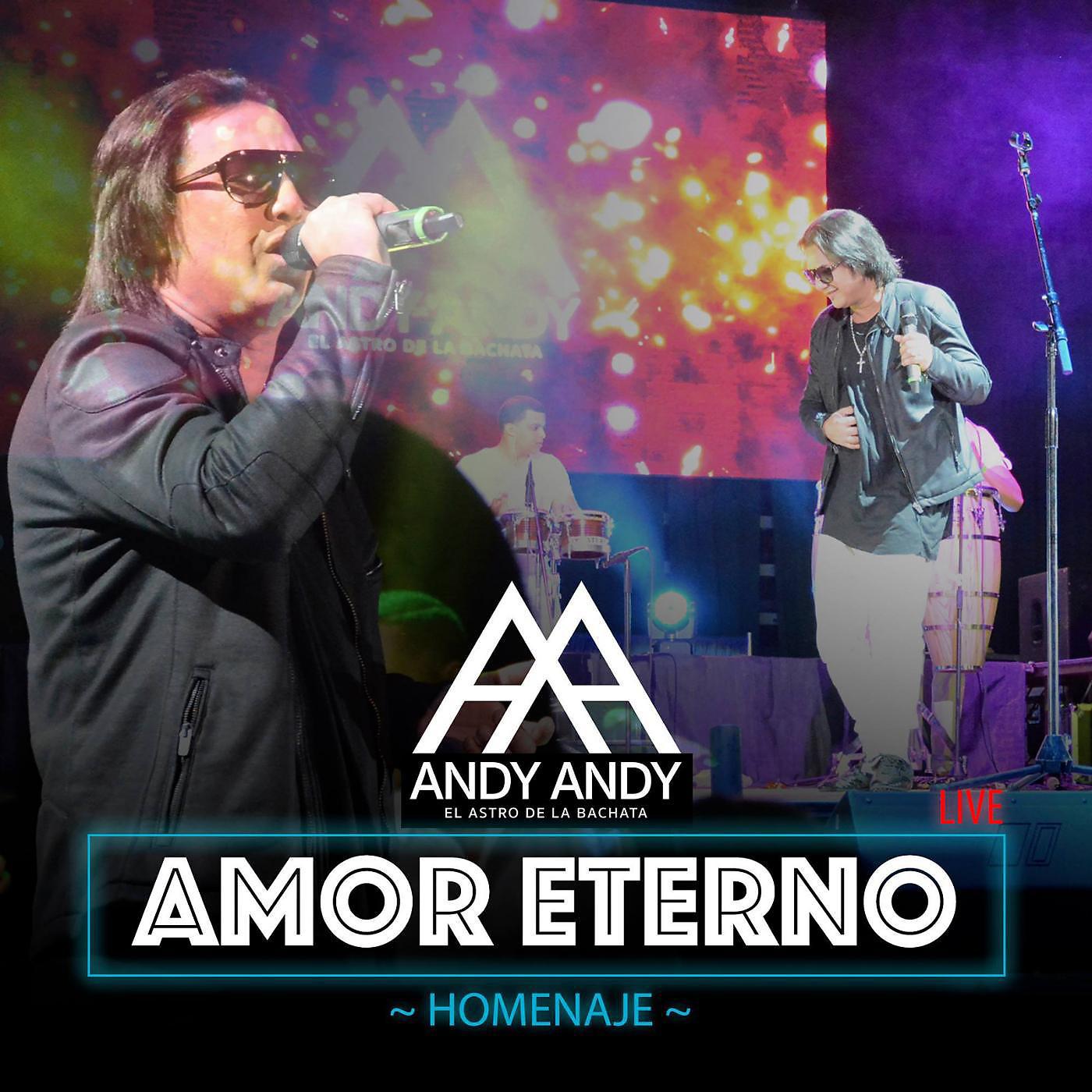 Постер альбома Amor Eterno (Homenaje Version Bachata)