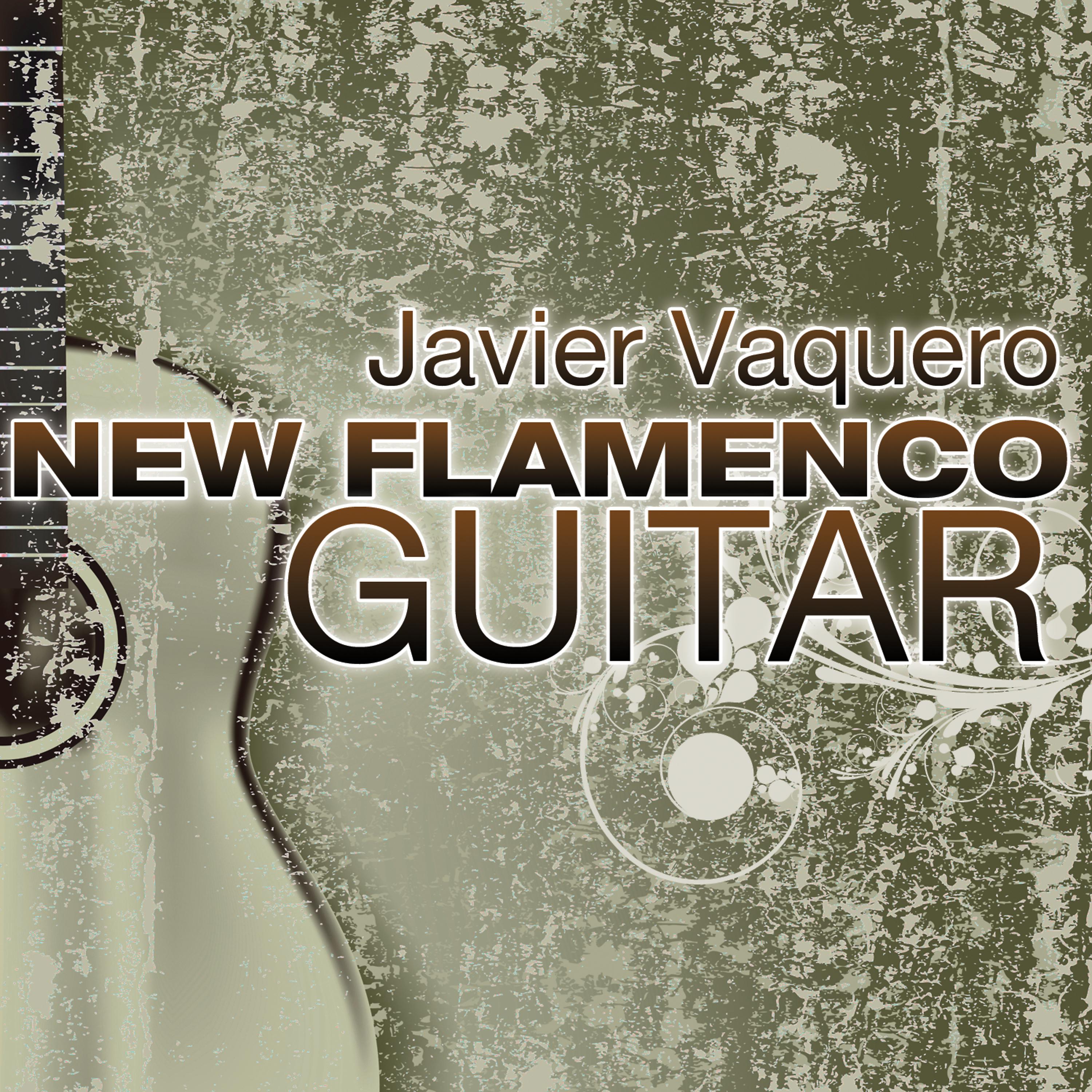 Постер альбома New Flamenco Guitar